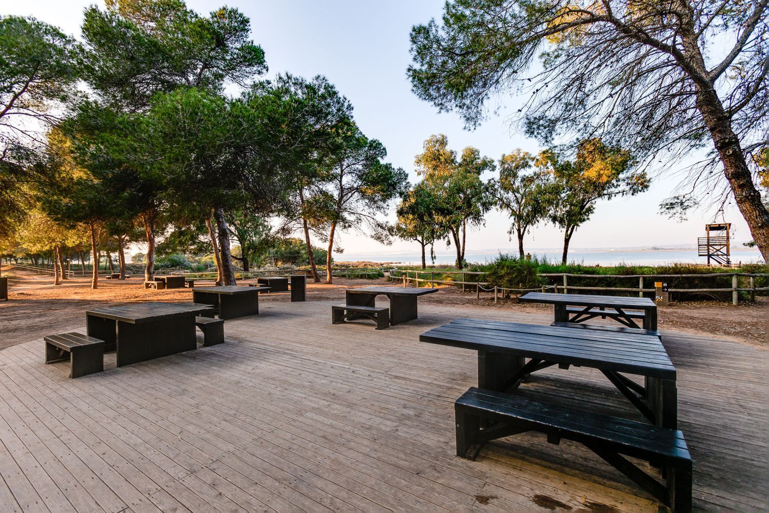 Casas o chalets-Venta-Torrevieja-1835935-Foto-58