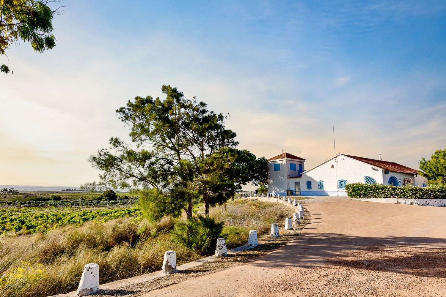Casas o chalets-Venta-Torrevieja-1835935-Foto-65