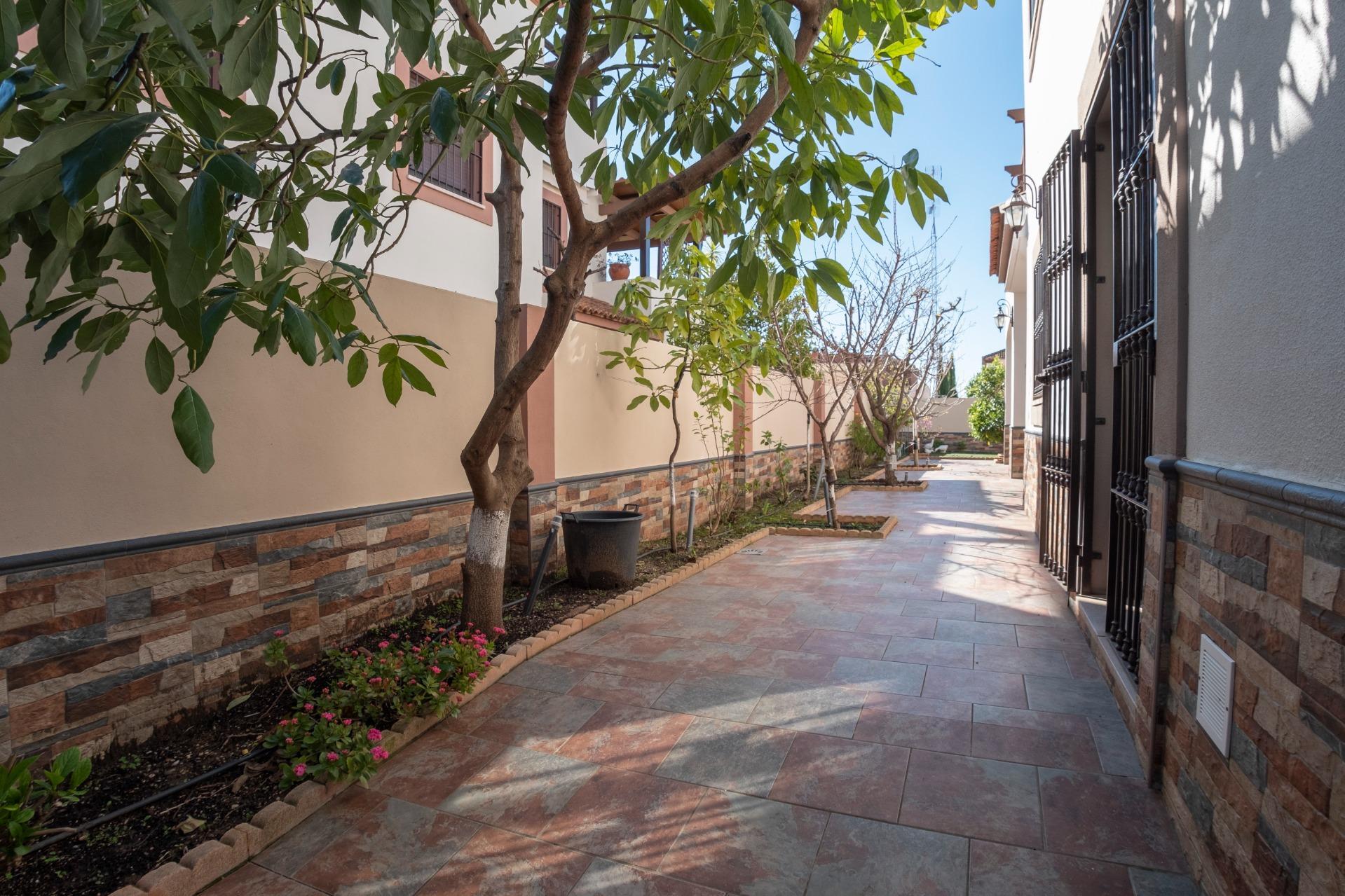 Casas o chalets-Venta-Guillena-1678687-Foto-41