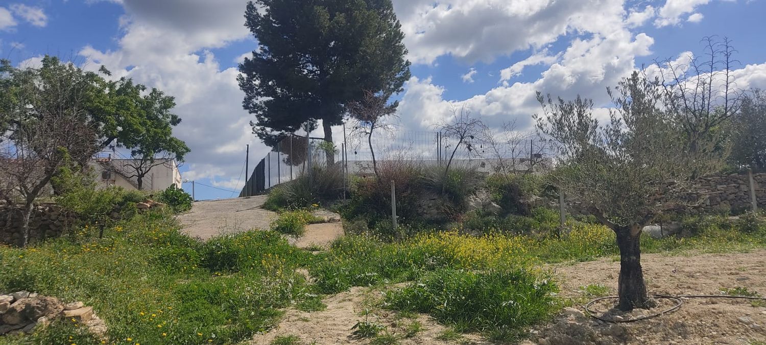 Fincas y solares-Venta-Sorbas-1700940-Foto-5