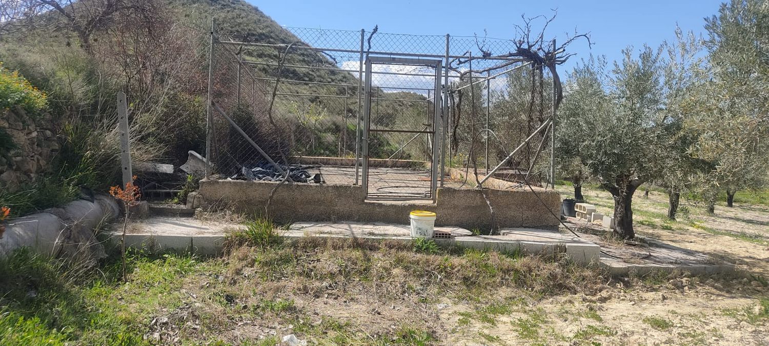 Fincas y solares-Venta-Sorbas-1700940-Foto-19