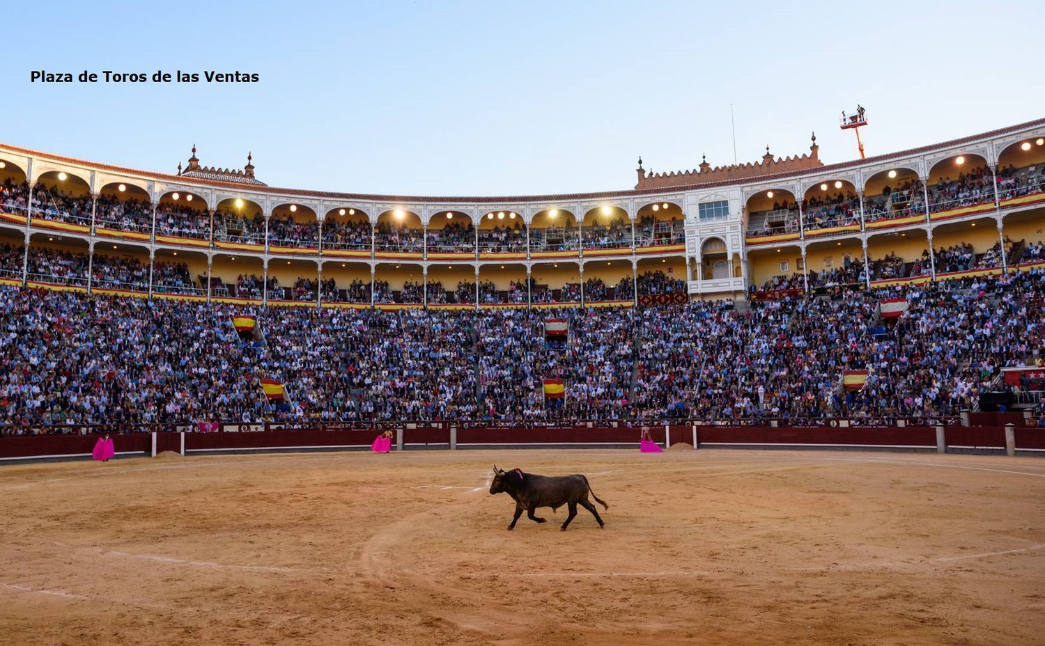 Pisos-Venta-Madrid-1836259-Foto-35