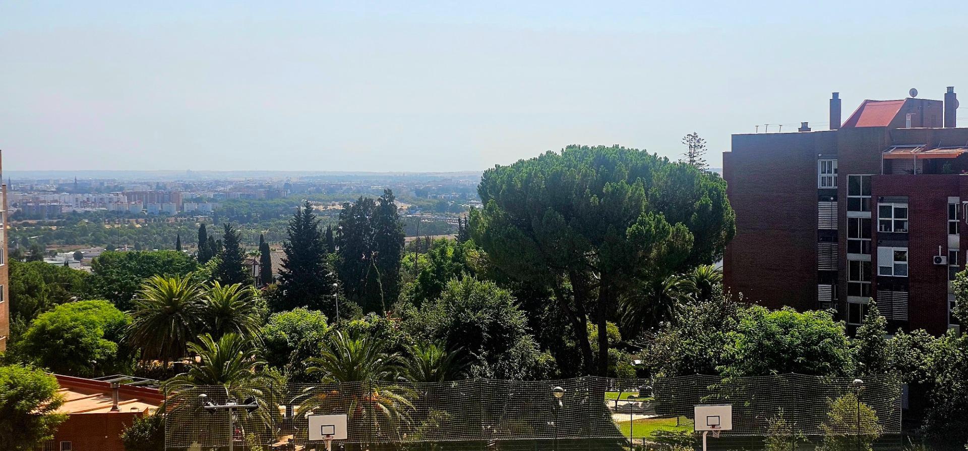 Pisos-Alquiler-Tomares-1835953-Foto-5
