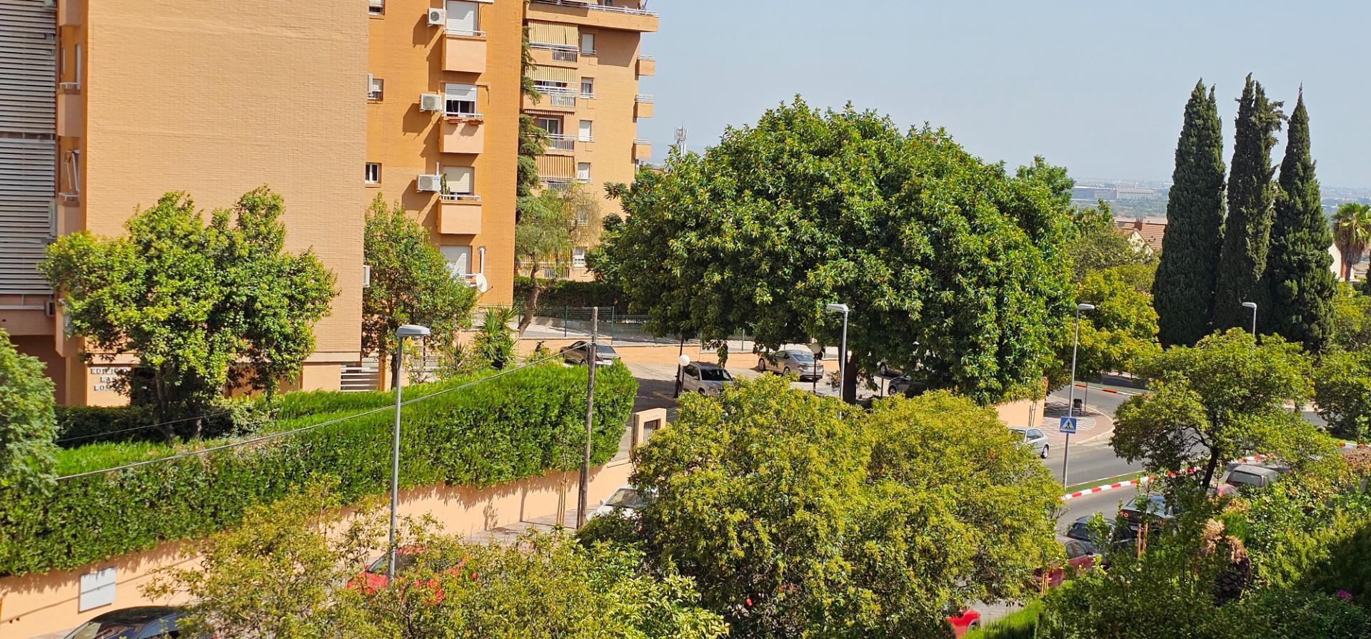 Pisos-Alquiler-Tomares-1835953-Foto-32
