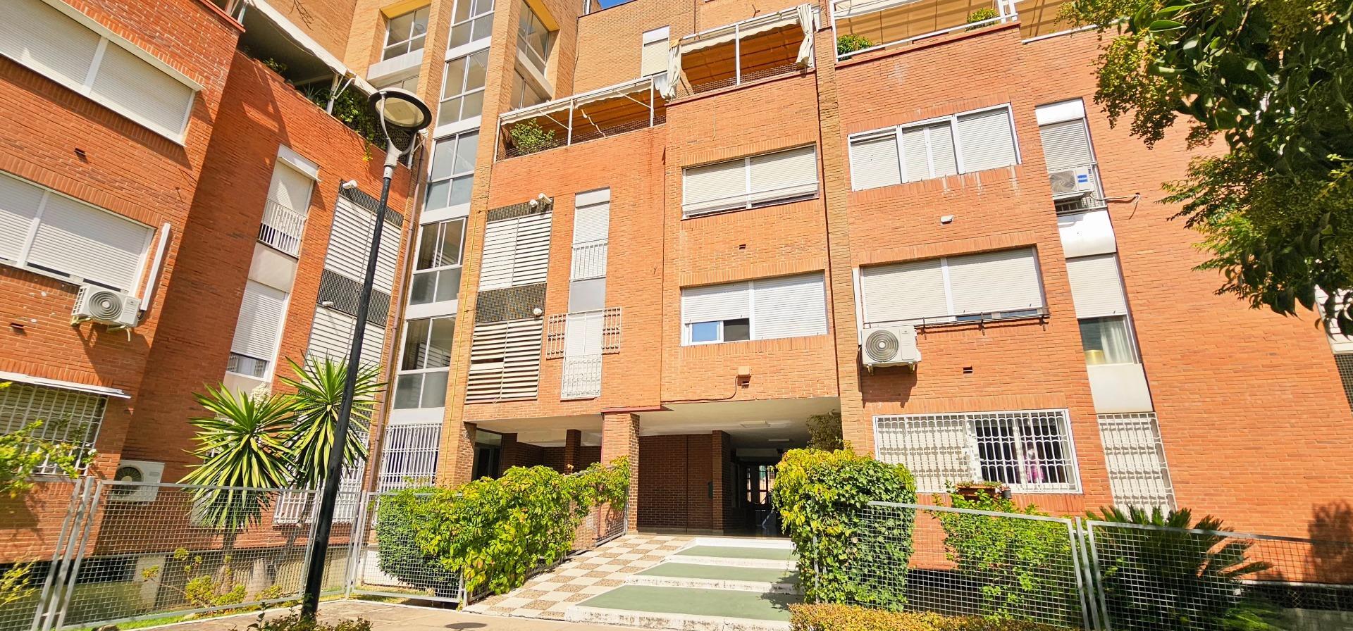 Pisos-Alquiler-Tomares-1835953-Foto-34