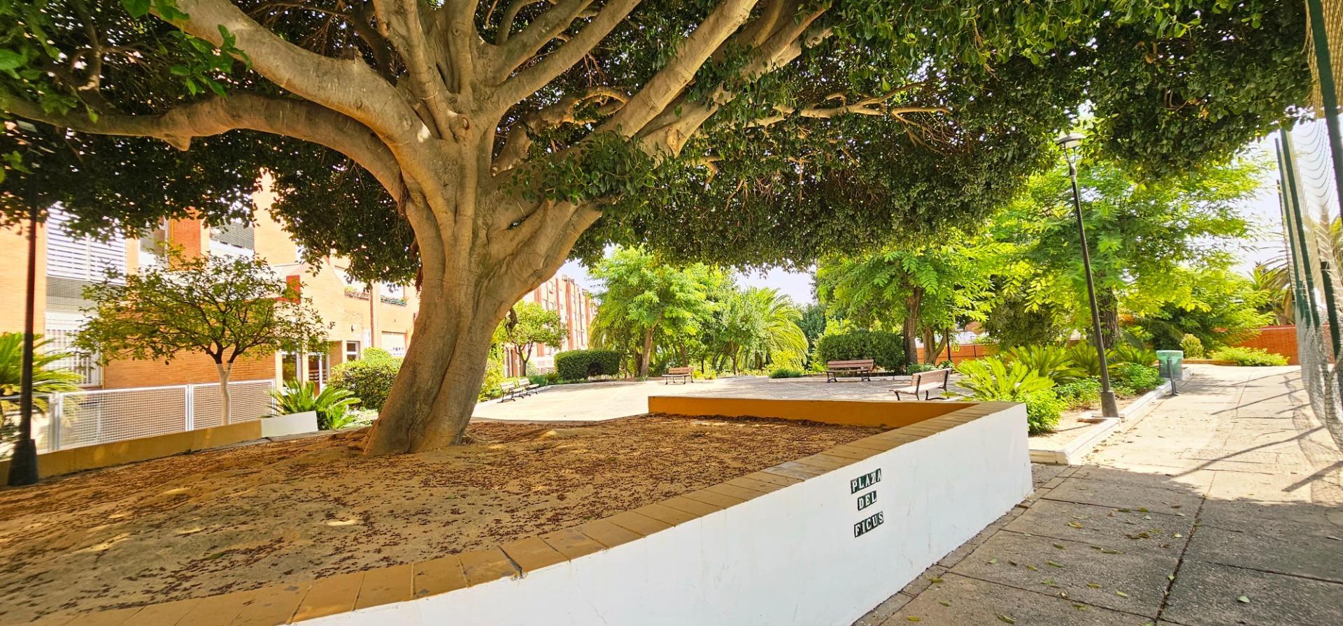 Pisos-Alquiler-Tomares-1835953-Foto-36