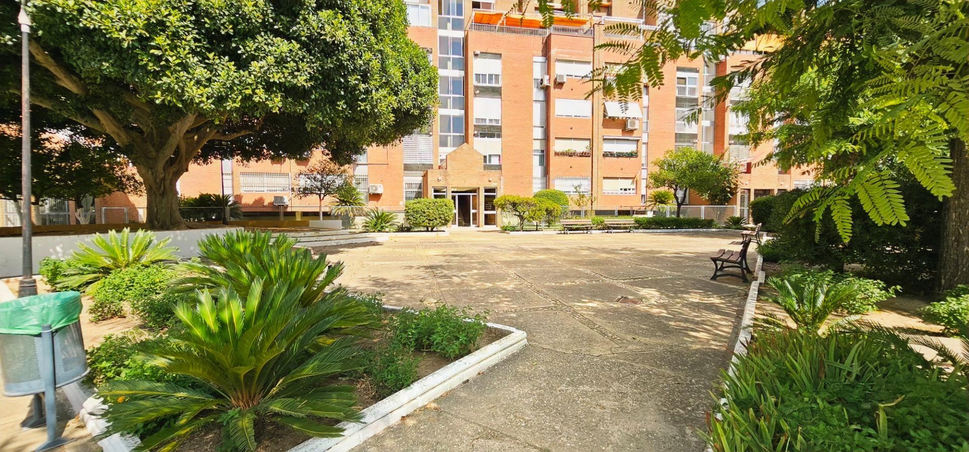 Pisos-Alquiler-Tomares-1835953-Foto-37