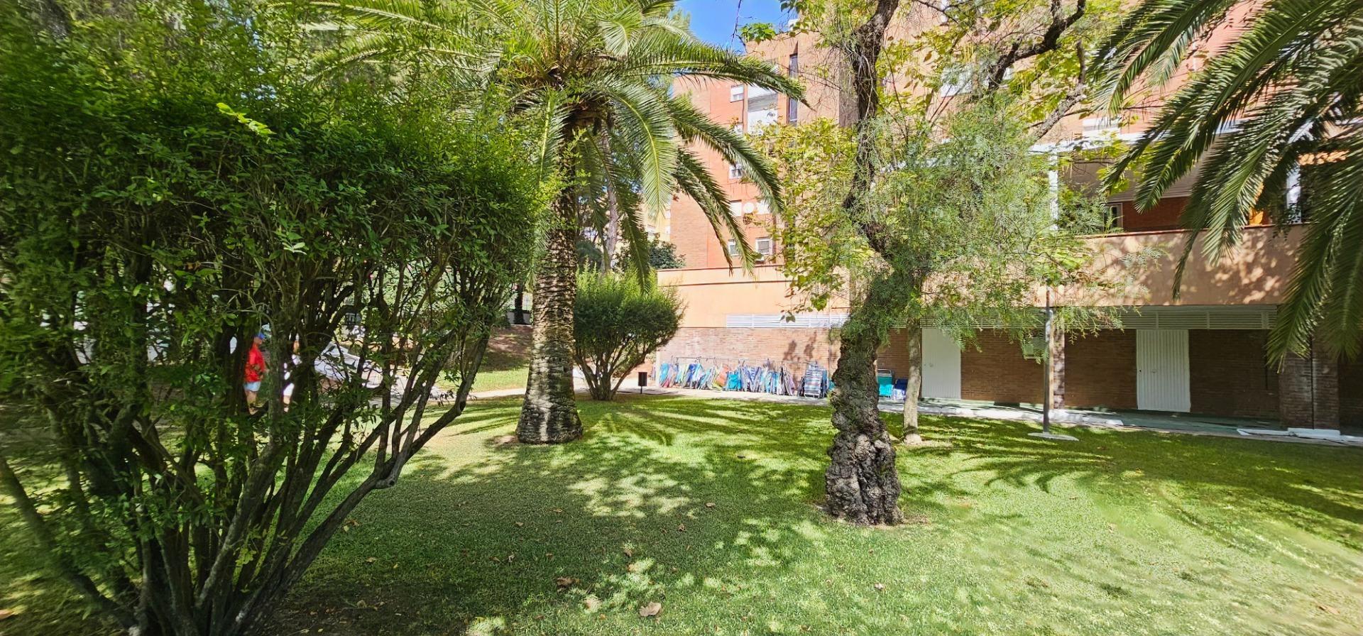Pisos-Alquiler-Tomares-1835953-Foto-43