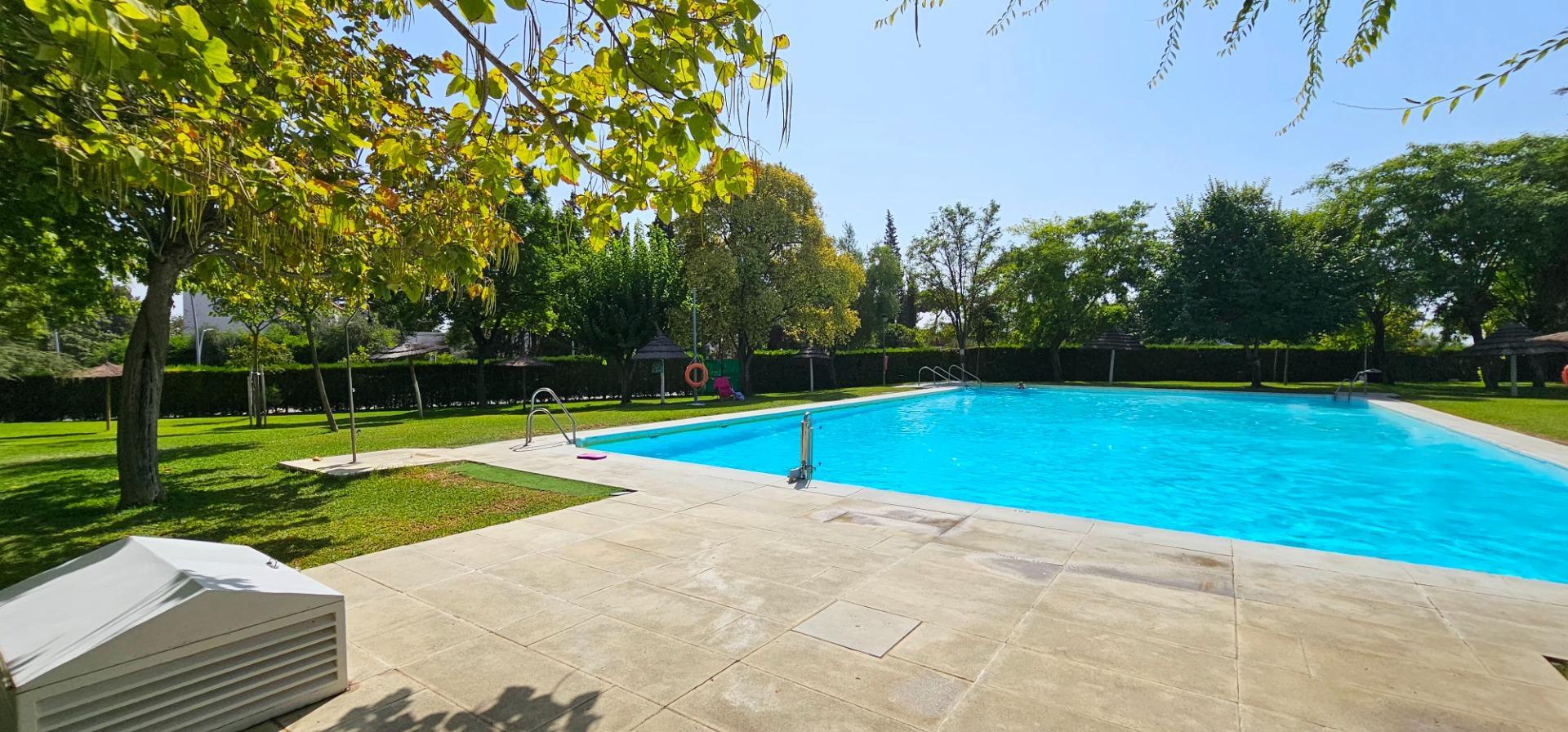 Pisos-Alquiler-Tomares-1835953-Foto-45