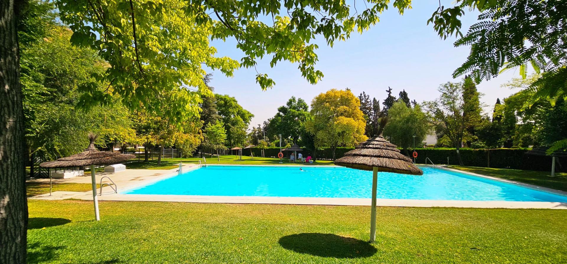 Pisos-Alquiler-Tomares-1835953-Foto-44