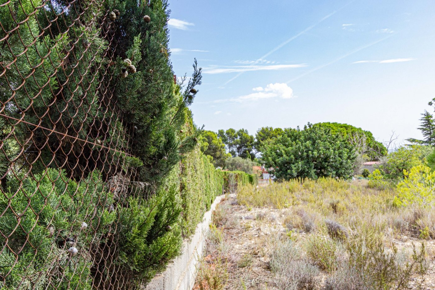 Fincas y solares-Venta-Monserrat - Montserrat-492198-Foto-8