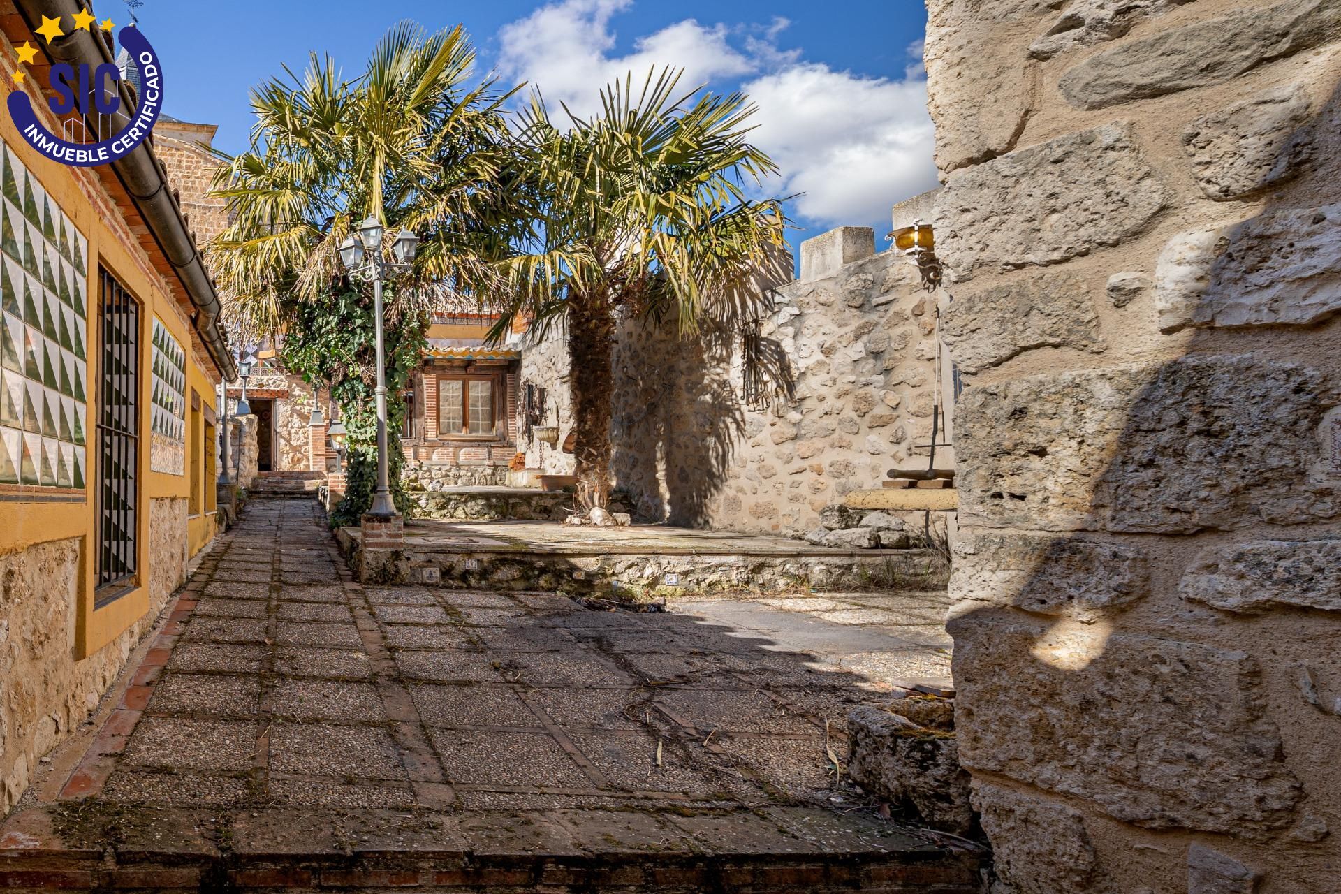Casas o chalets-Venta-Castrillo-Tejeriego-1641120-Foto-6