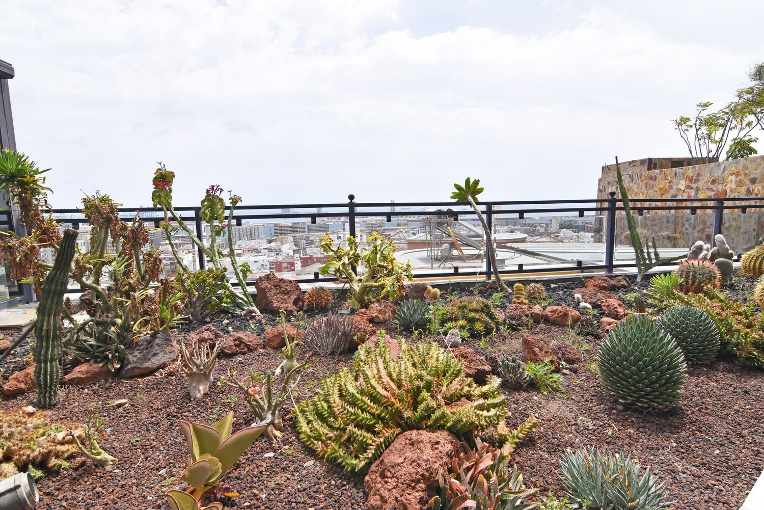 Casas o chalets-Venta-Las Palmas de Gran Canaria-1835971-Foto-56