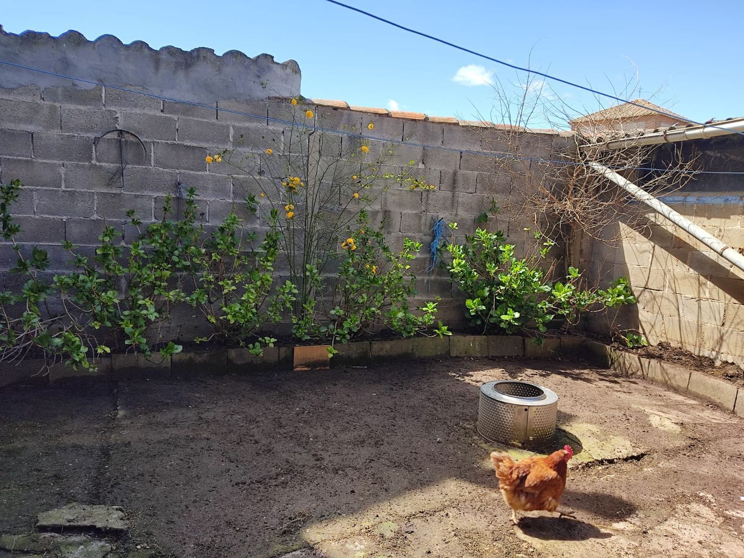 Pisos-Venta-Carrizo-1835977-Foto-46