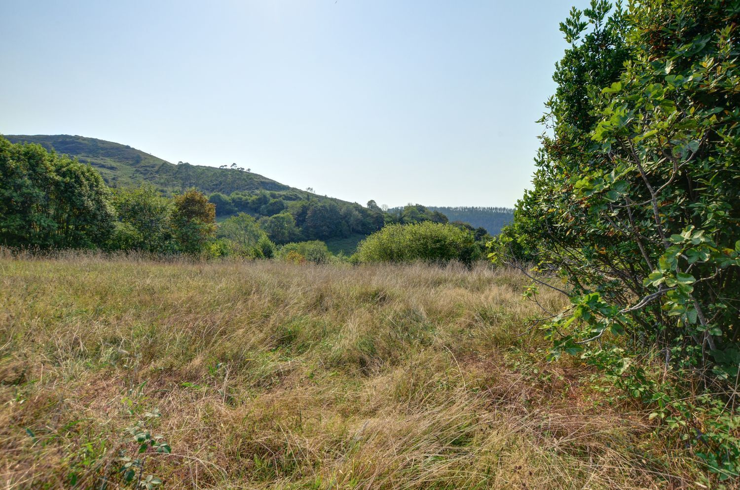 Pisos-Venta-Villaviciosa-1835980-Foto-17
