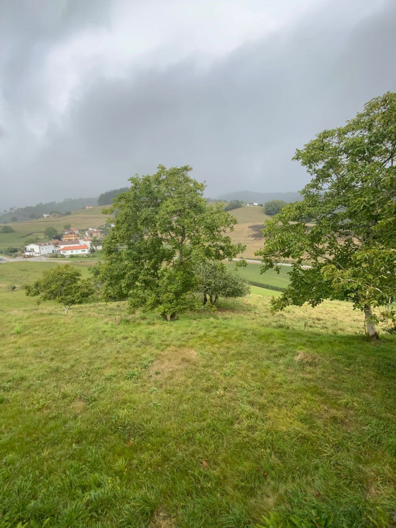 Casas o chalets-Venta-ValdÃ©s-1835983-Foto-40