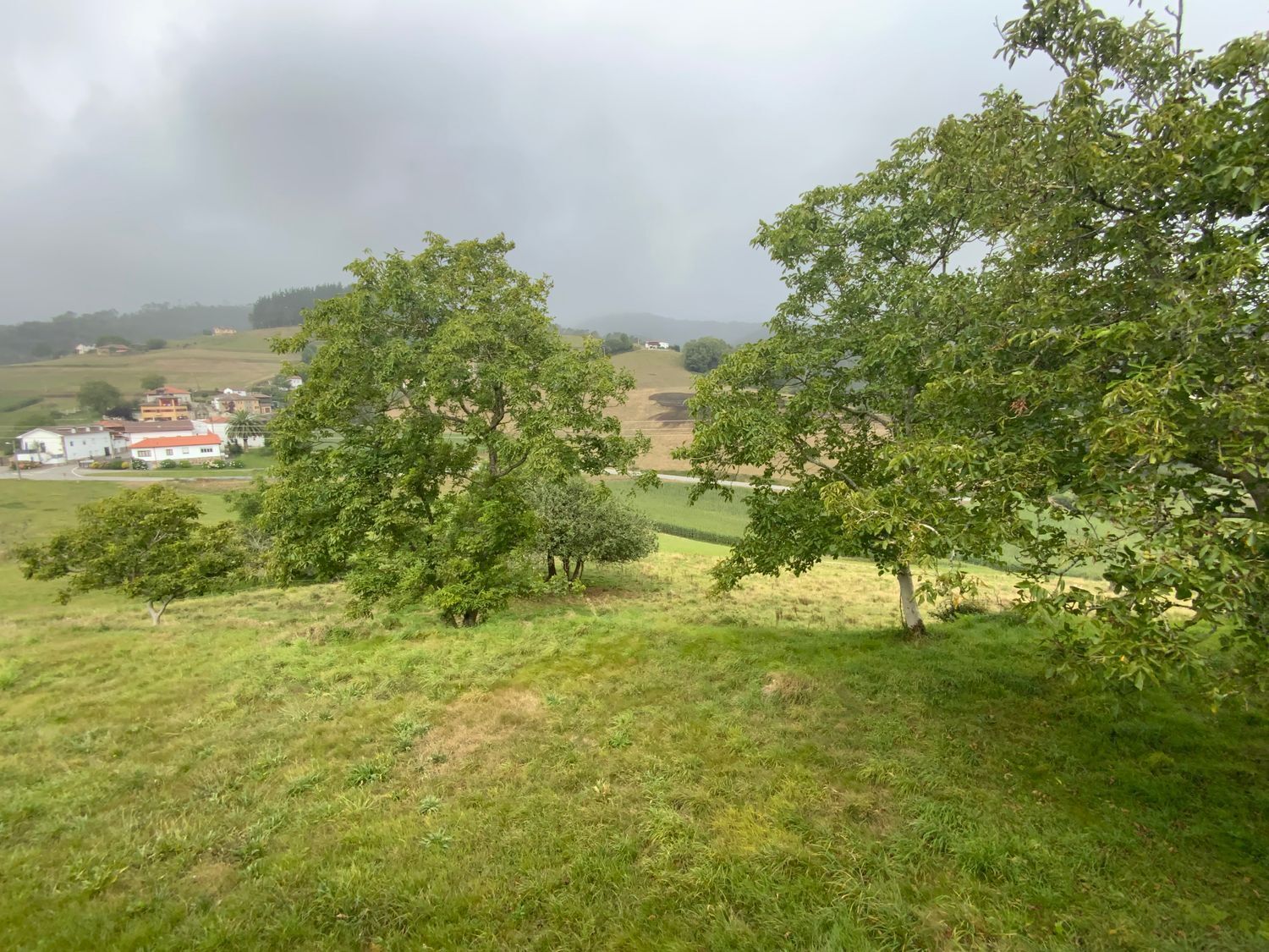 Casas o chalets-Venta-ValdÃ©s-1835983-Foto-42