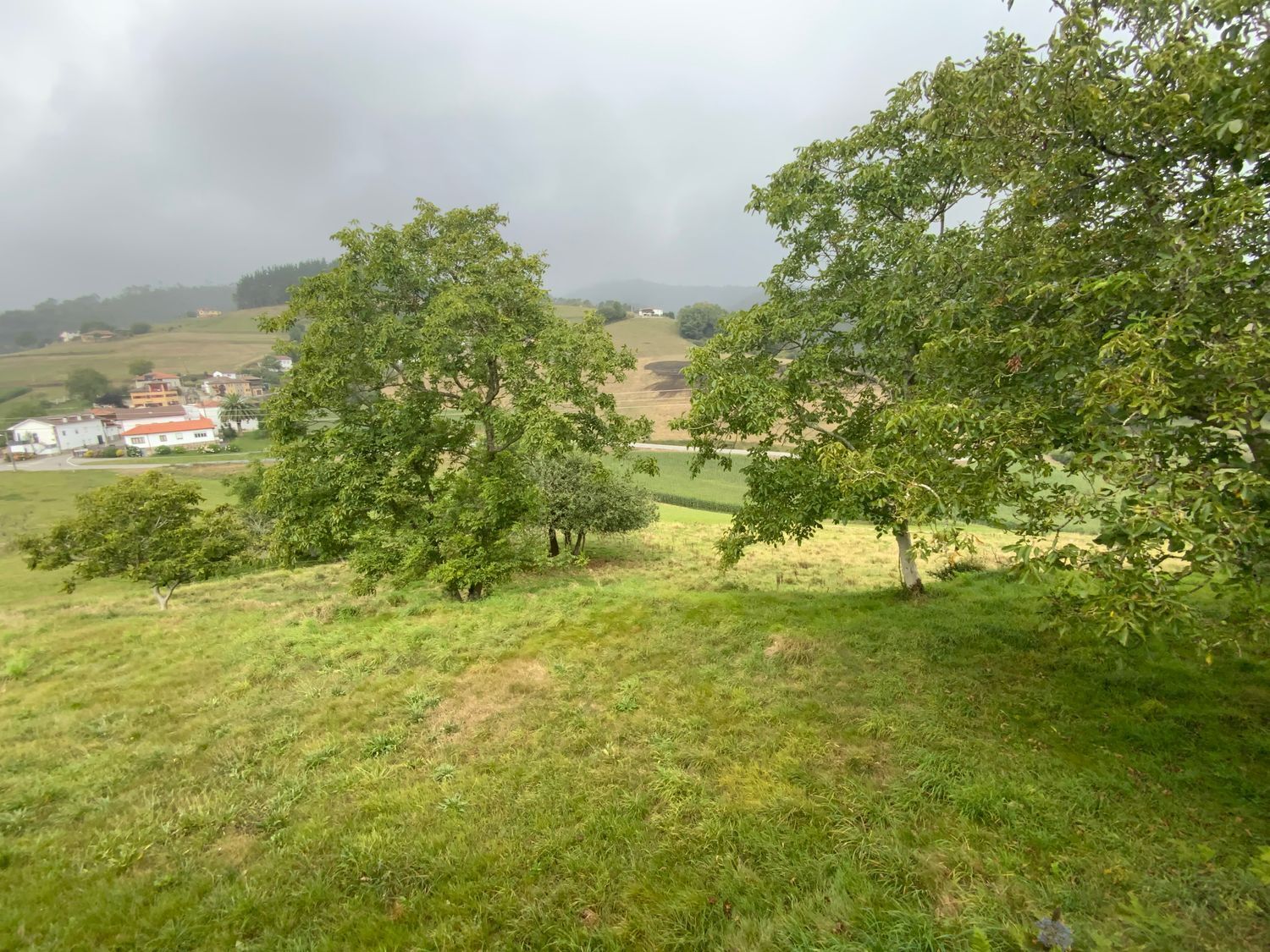 Casas o chalets-Venta-ValdÃ©s-1835983-Foto-41