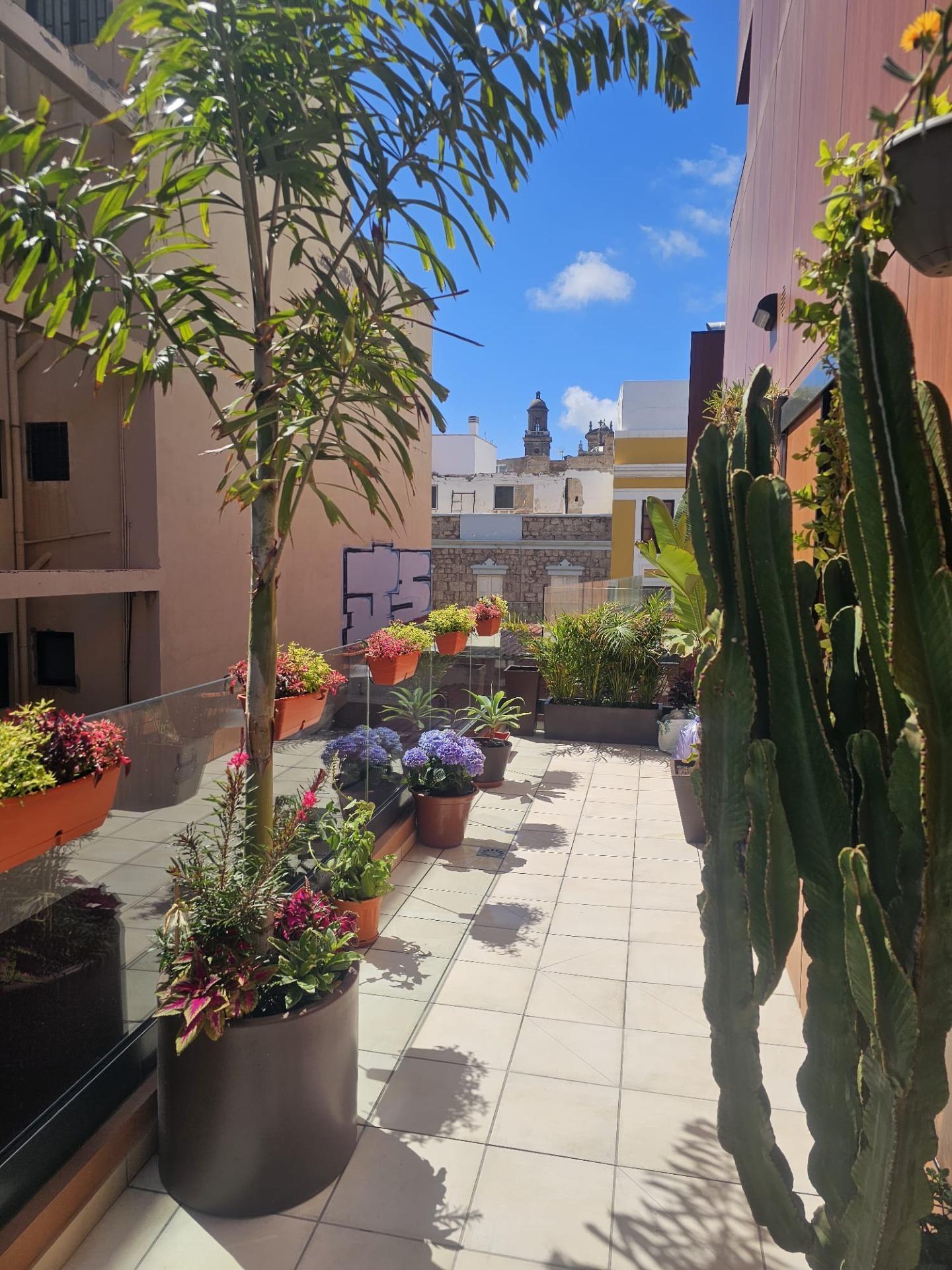Pisos-Venta-Las Palmas de Gran Canaria-1835997-Foto-3