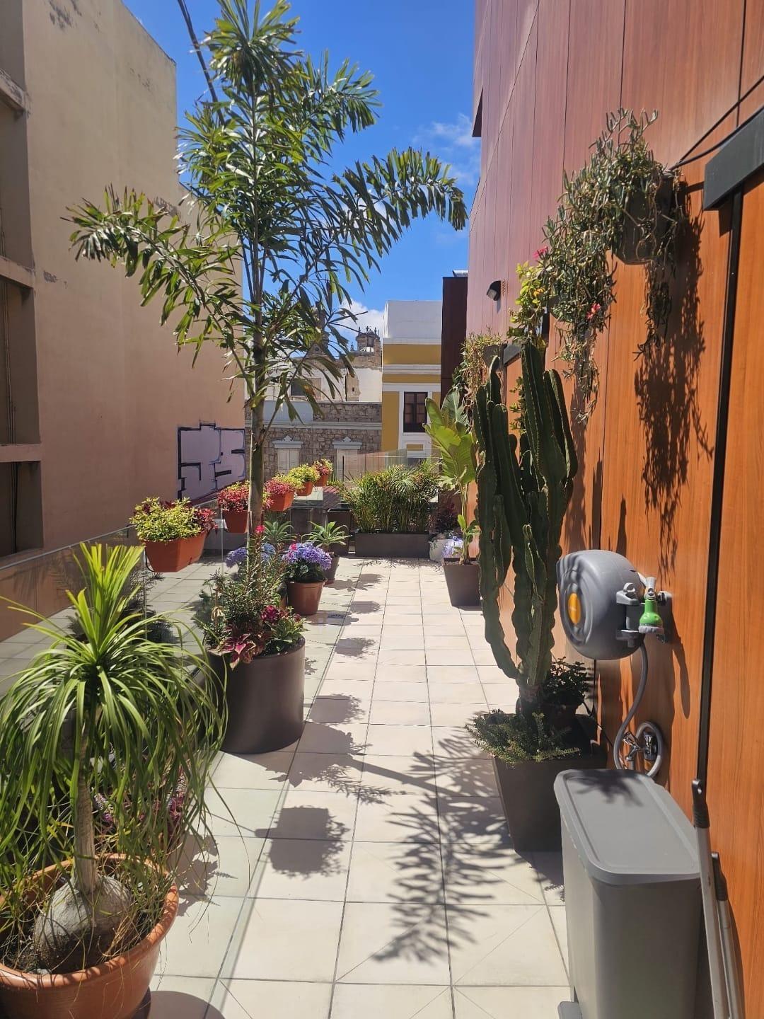 Pisos-Venta-Las Palmas de Gran Canaria-1835997-Foto-4