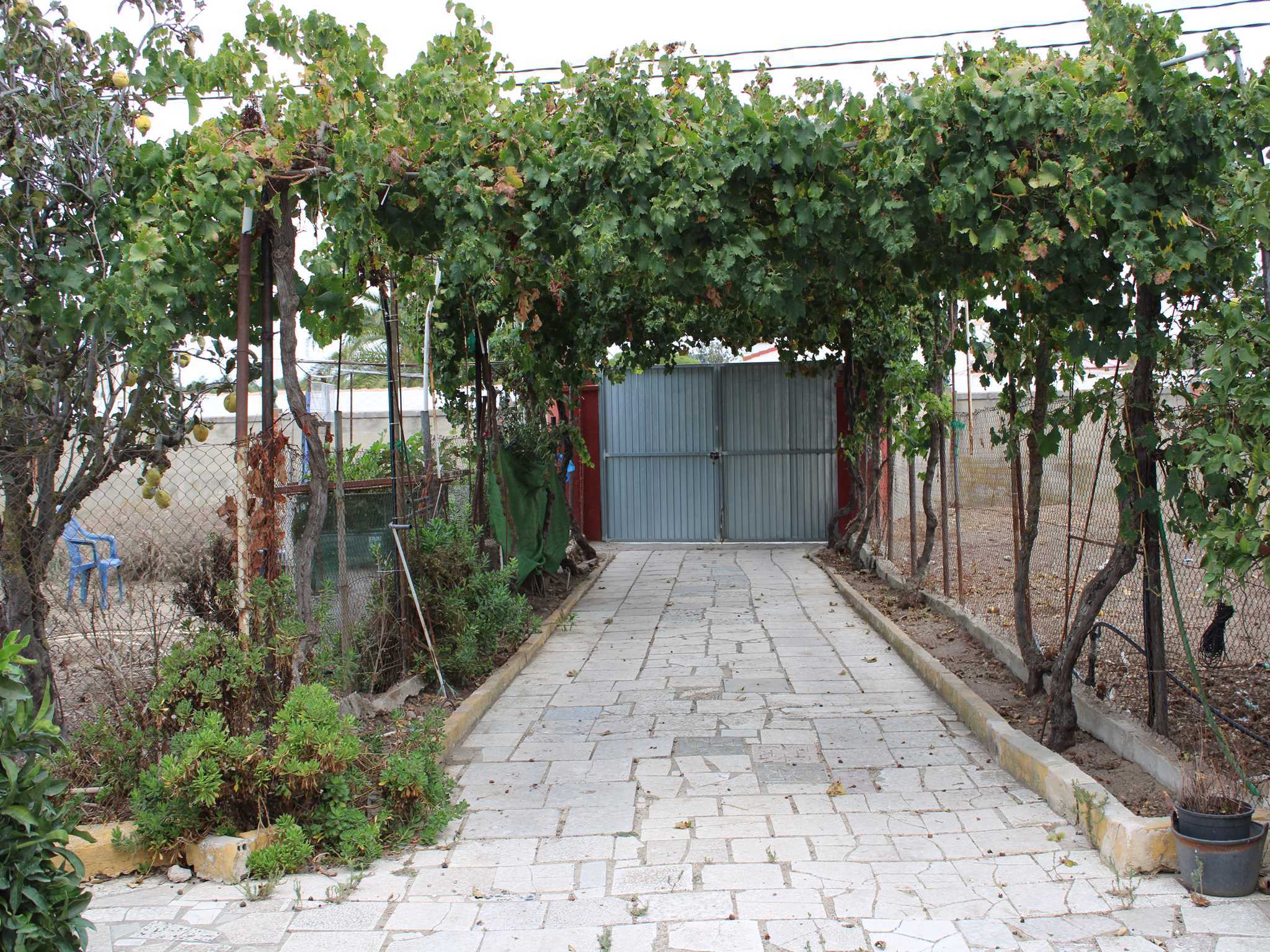 Casas o chalets-Venta-Chiclana de la Frontera-1426207-Foto-2