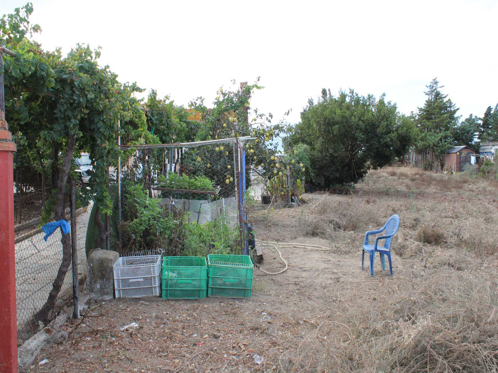 Casas o chalets-Venta-Chiclana de la Frontera-1426207-Foto-28