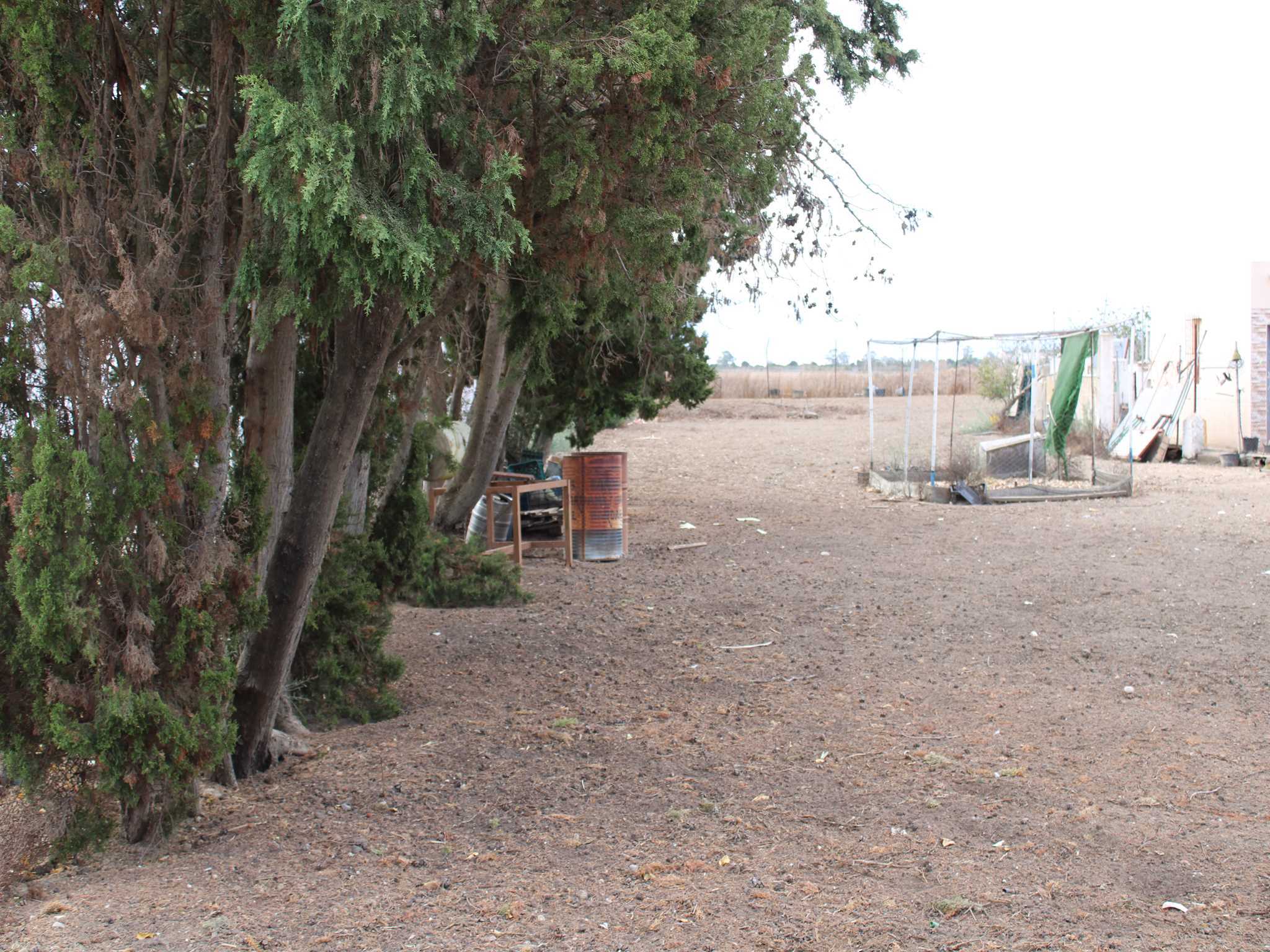 Casas o chalets-Venta-Chiclana de la Frontera-1426207-Foto-29