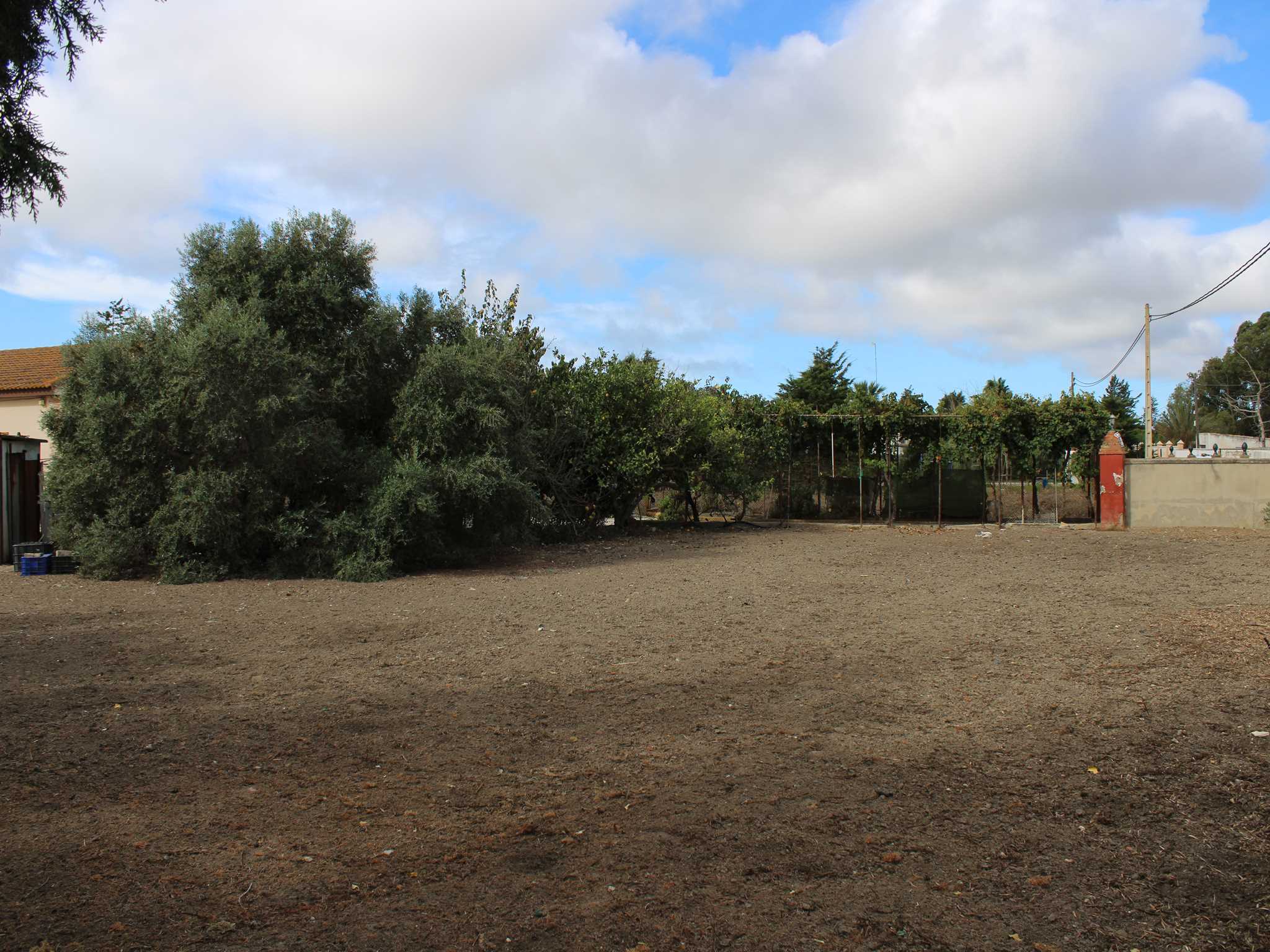 Casas o chalets-Venta-Chiclana de la Frontera-1426207-Foto-32