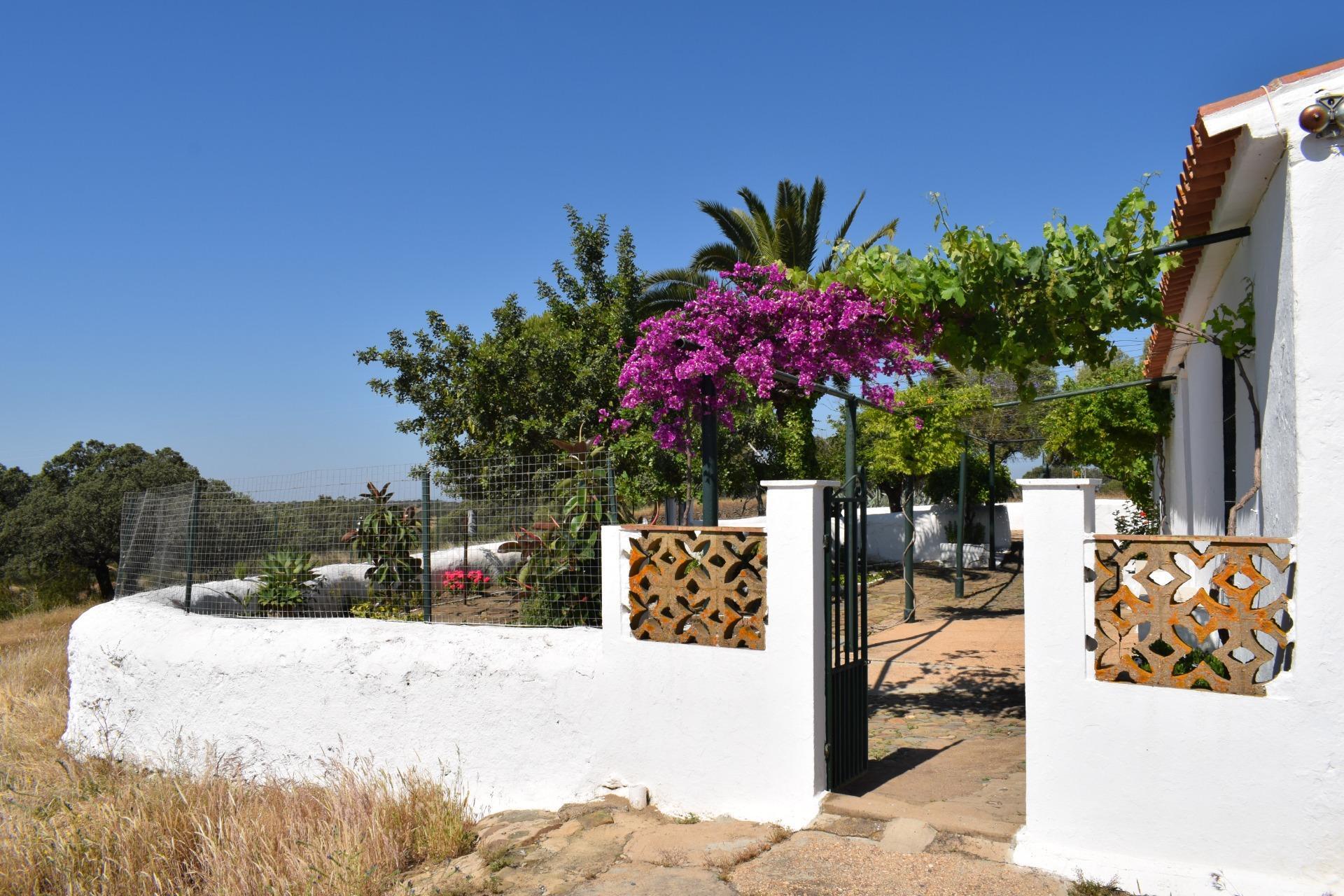 Pisos-Venta-Villanueva de los Castillejos-1731018-Foto-2