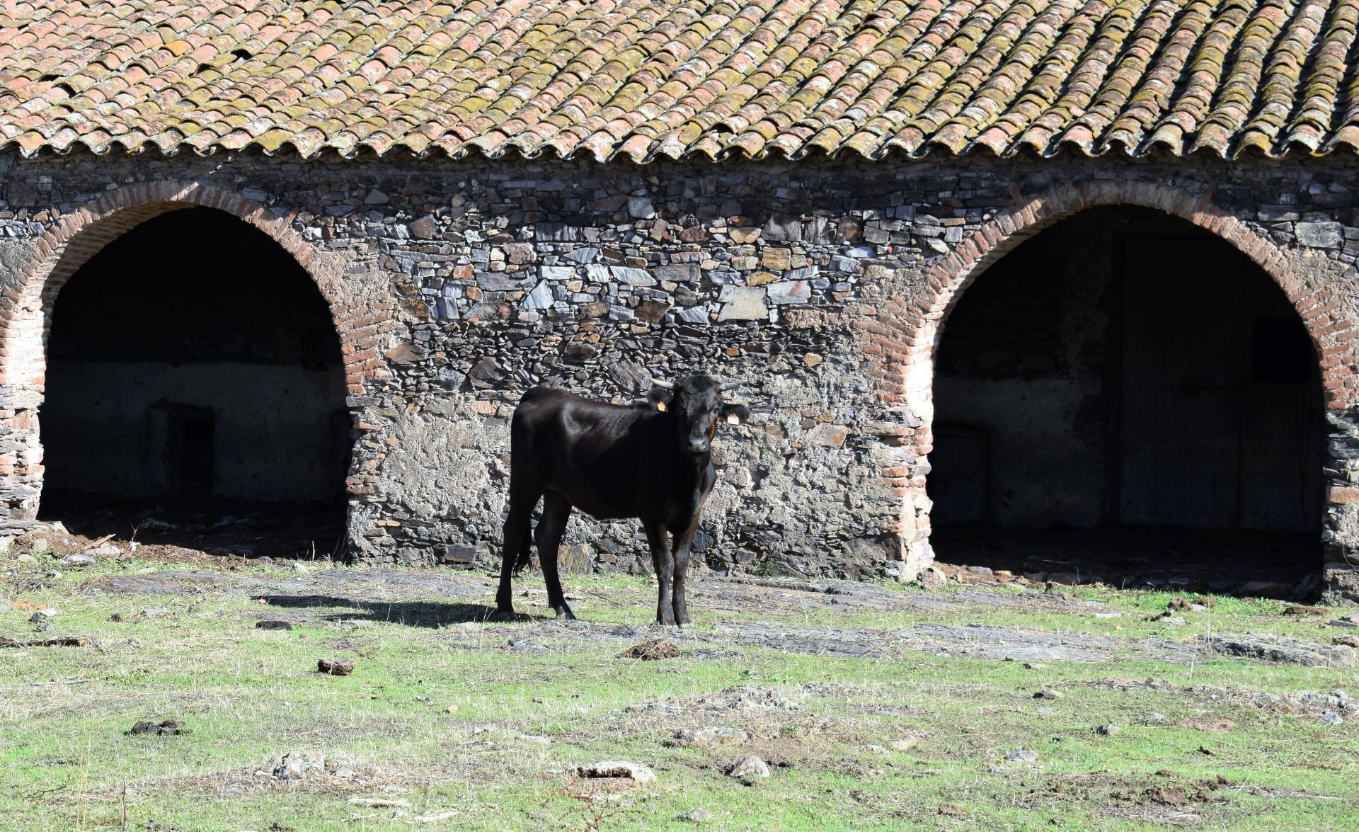 Fincas y solares-Venta-1654126