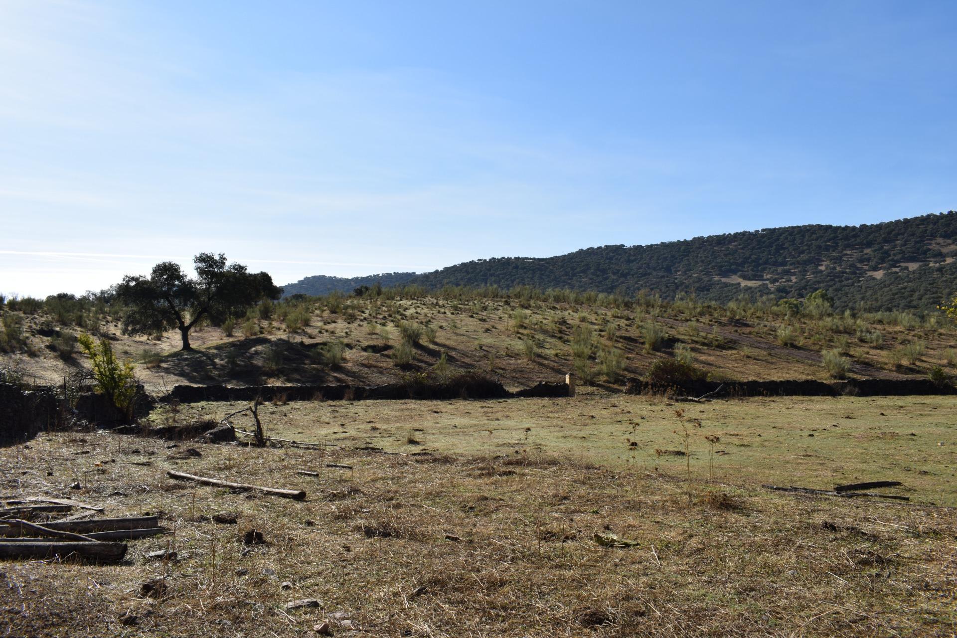 Fincas y solares-Venta-Arroyomolinos de LeÃ³n-1654126-Foto-5