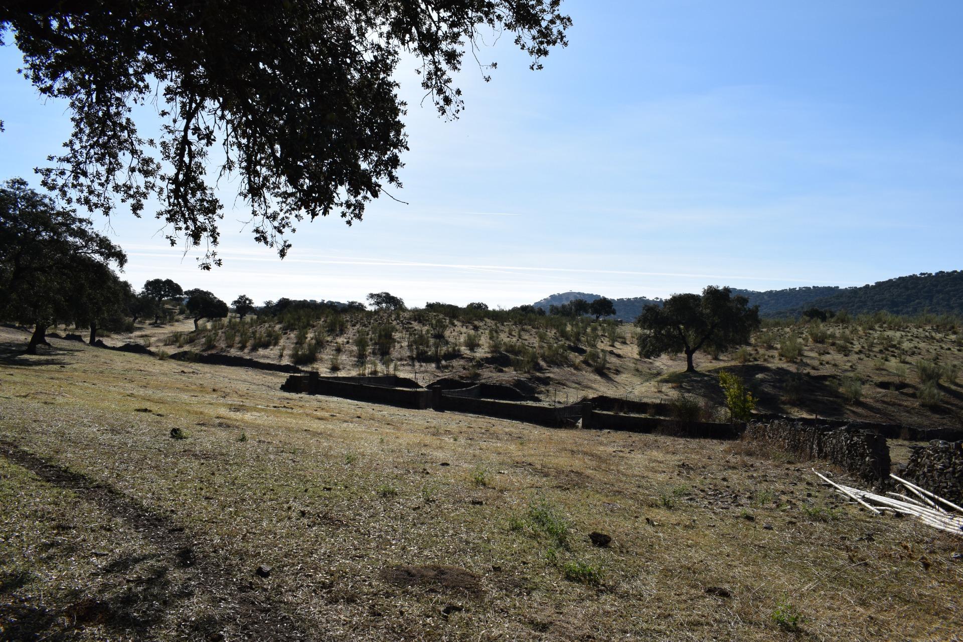 Fincas y solares-Venta-Arroyomolinos de LeÃ³n-1654126-Foto-16