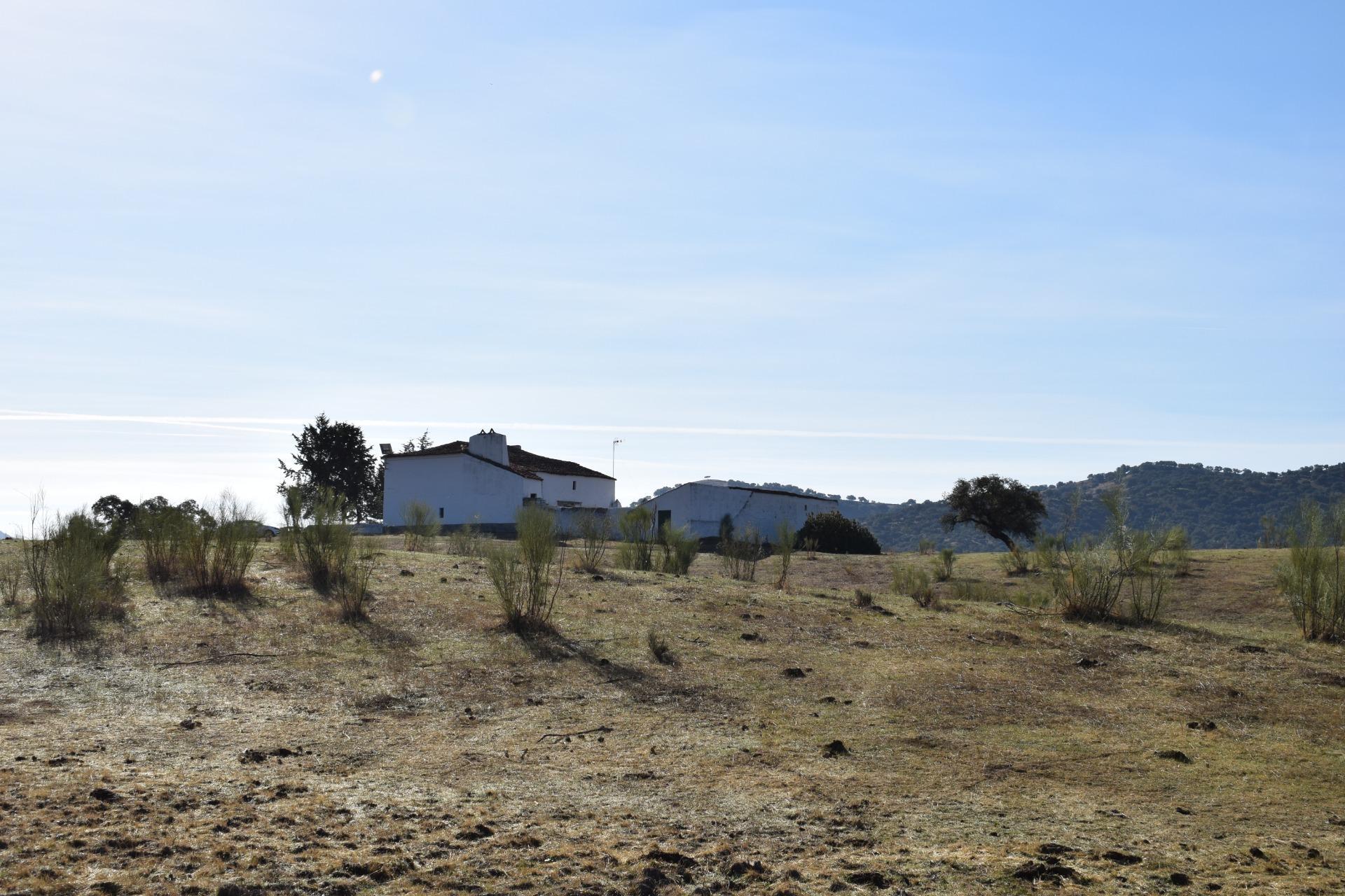 Fincas y solares-Venta-Arroyomolinos de LeÃ³n-1654126-Foto-17