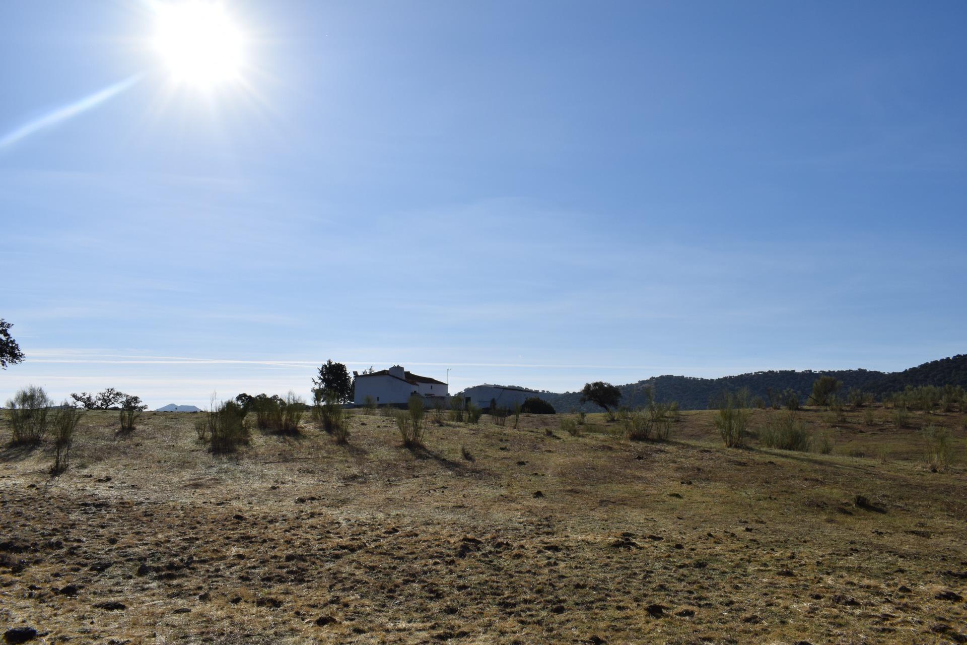 Fincas y solares-Venta-Arroyomolinos de LeÃ³n-1654126-Foto-18
