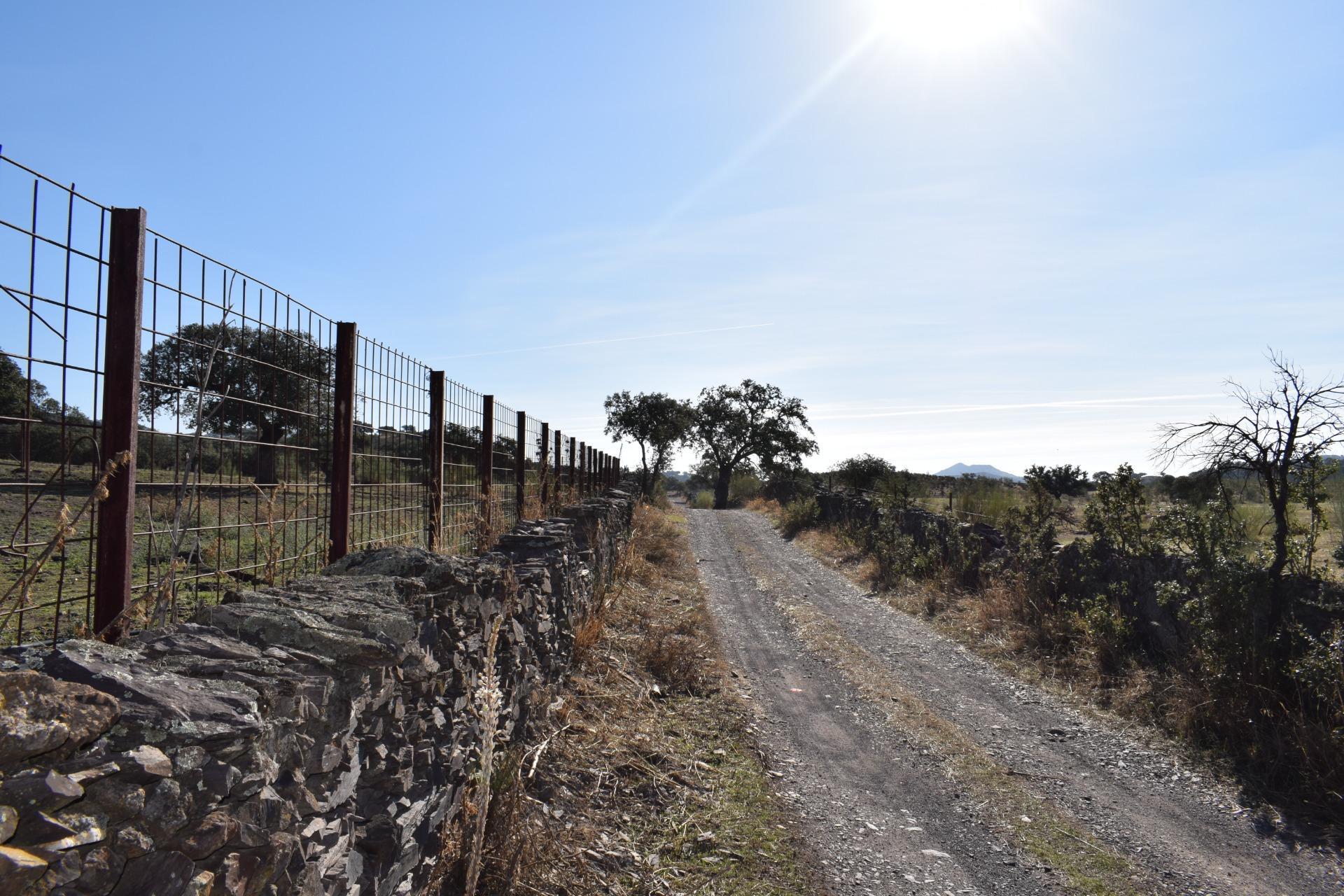 Fincas y solares-Venta-Arroyomolinos de LeÃ³n-1654126-Foto-20