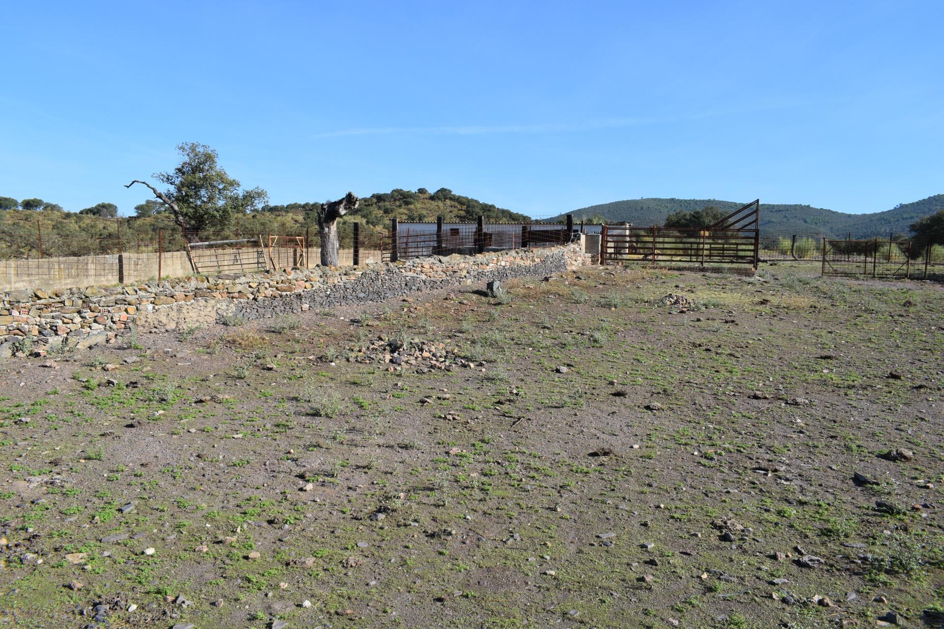 Fincas y solares-Venta-Arroyomolinos de LeÃ³n-1654126-Foto-22