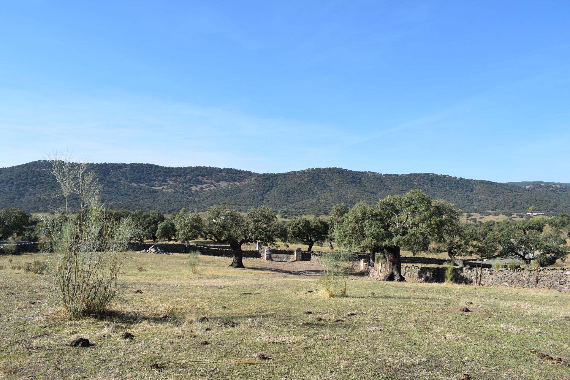 Fincas y solares-Venta-Arroyomolinos de LeÃ³n-1654126-Foto-25