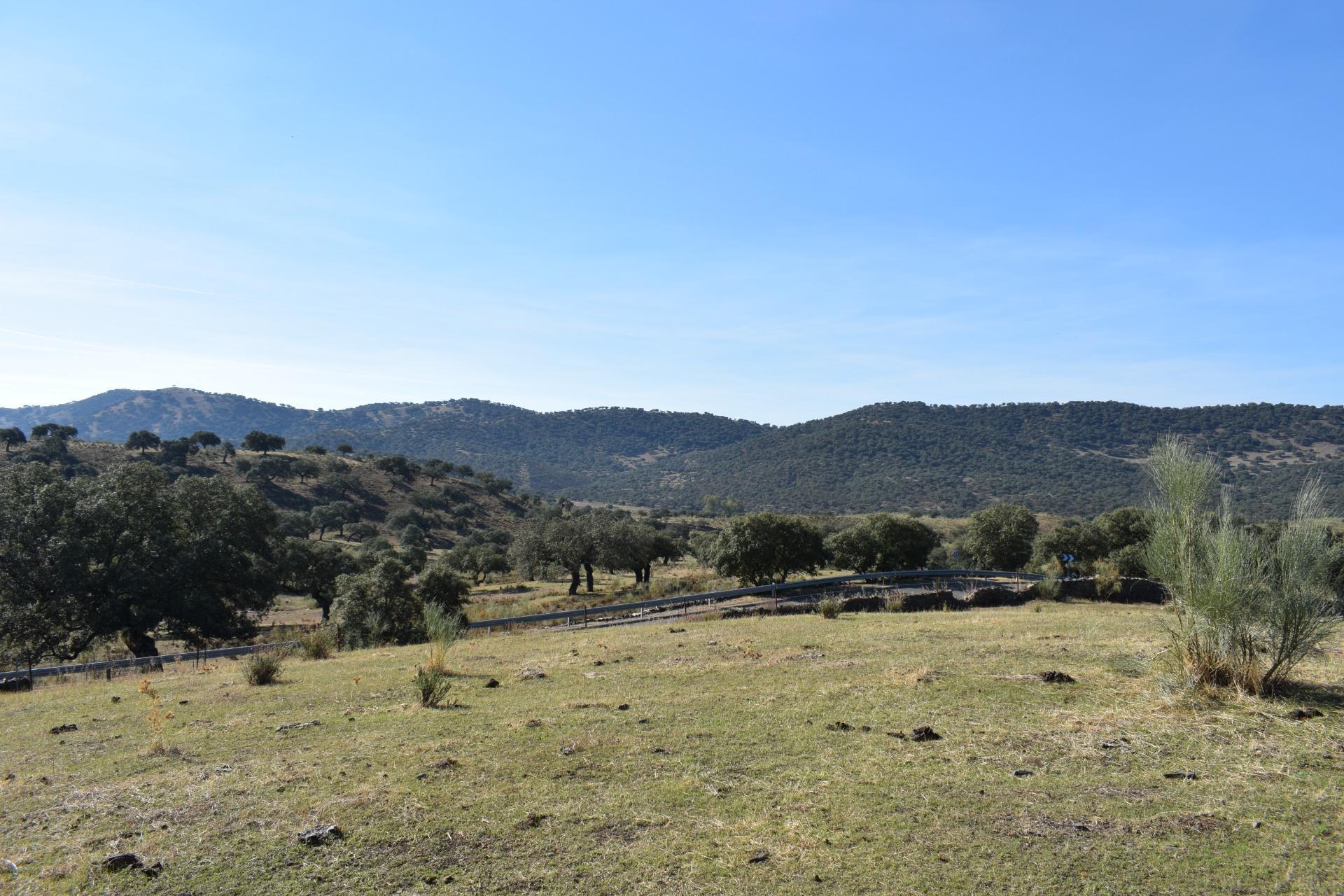 Fincas y solares-Venta-Arroyomolinos de LeÃ³n-1654126-Foto-29