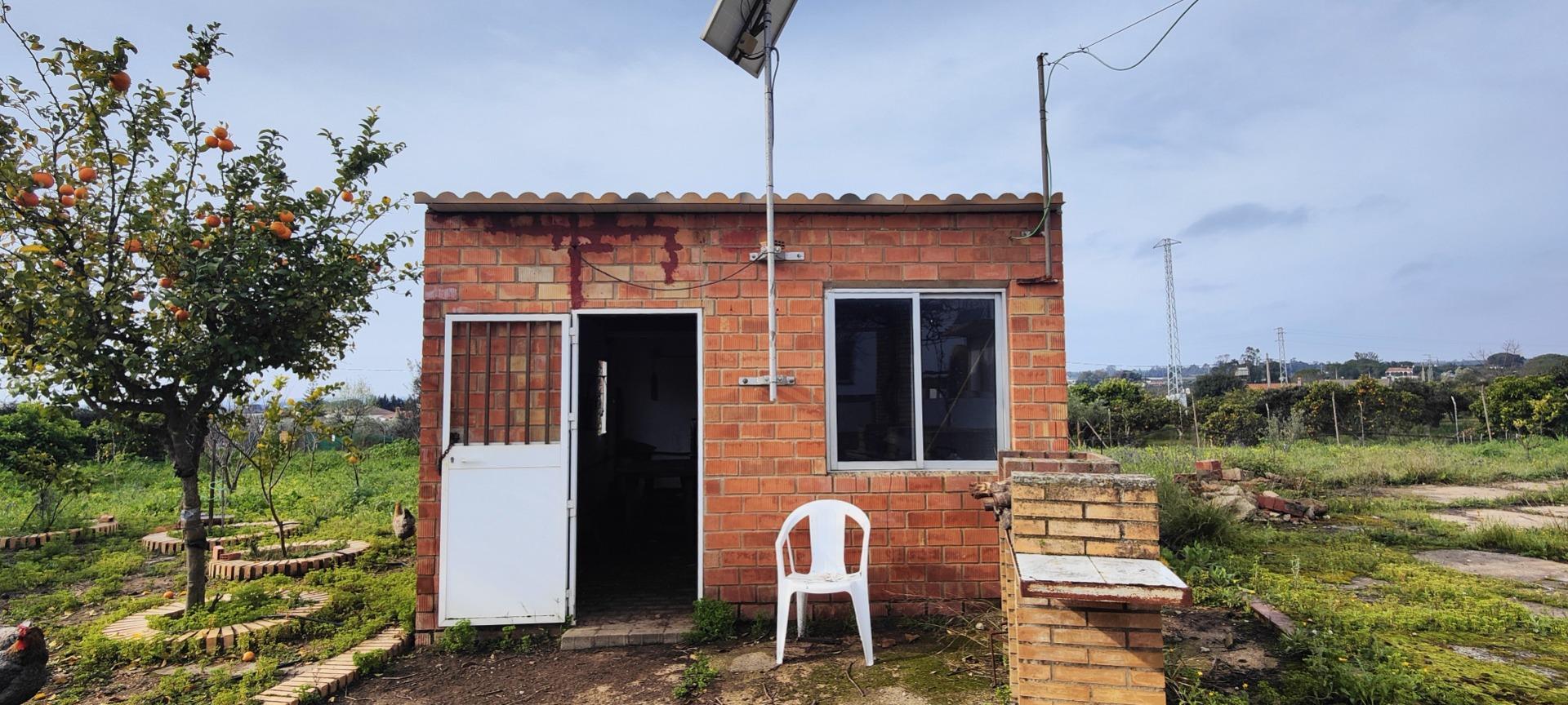 Pisos-Venta-GibraleÃ³n-1651626-Foto-55