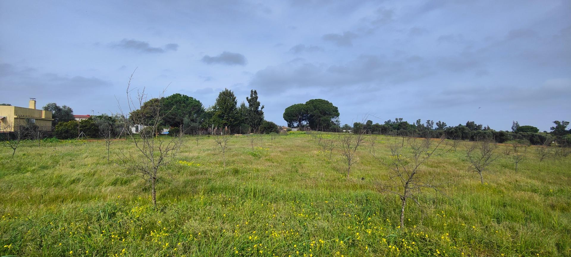 Pisos-Venta-GibraleÃ³n-1651626-Foto-63