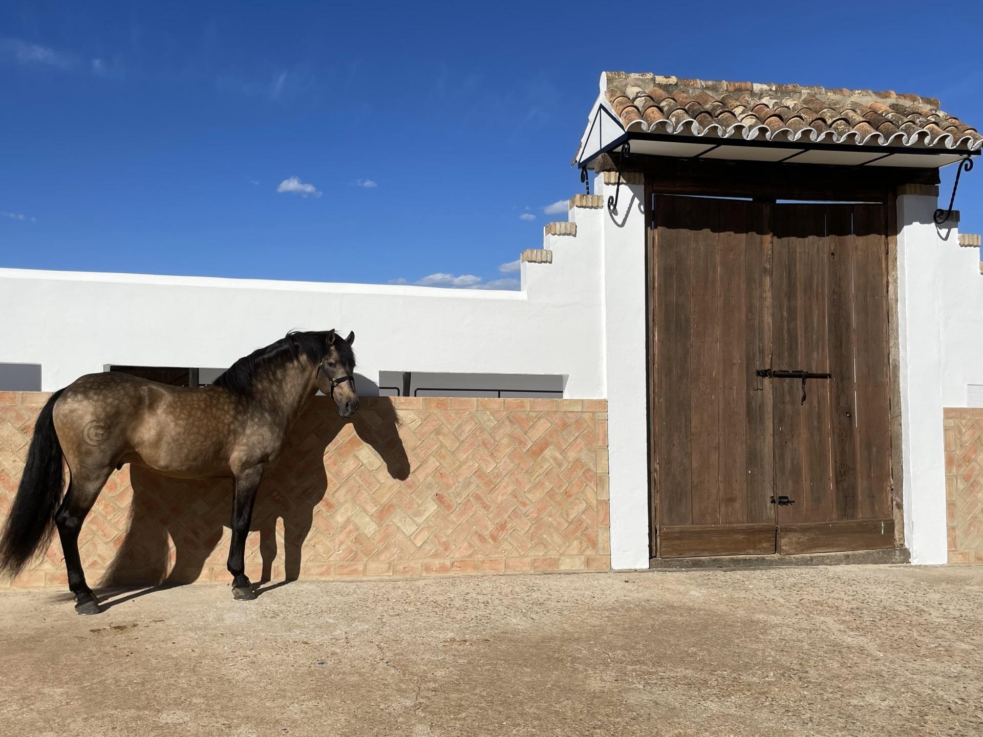 Pisos-Venta-Paterna del Campo-1174337