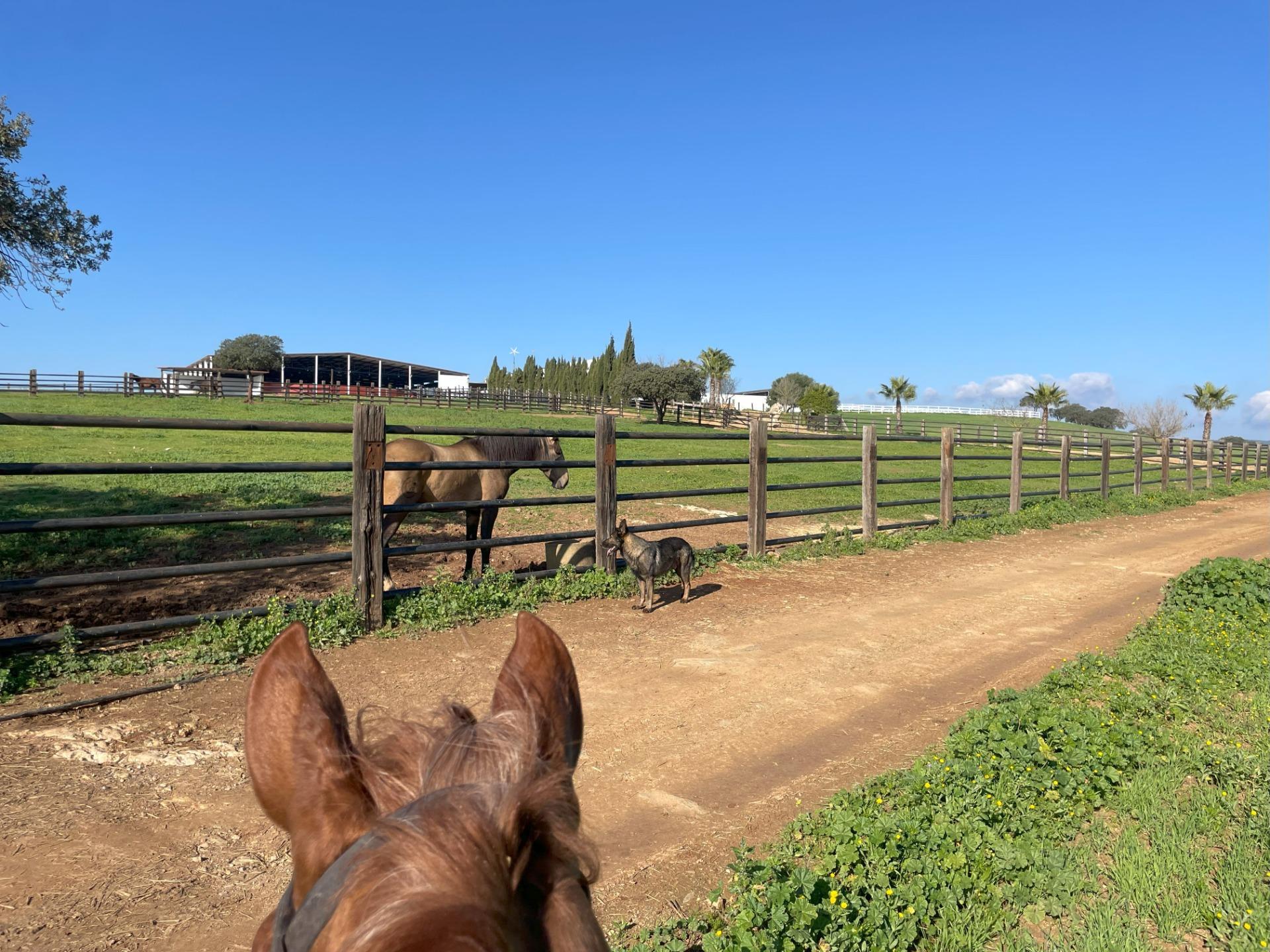 Pisos-Venta-Paterna del Campo-1174337-Foto-9