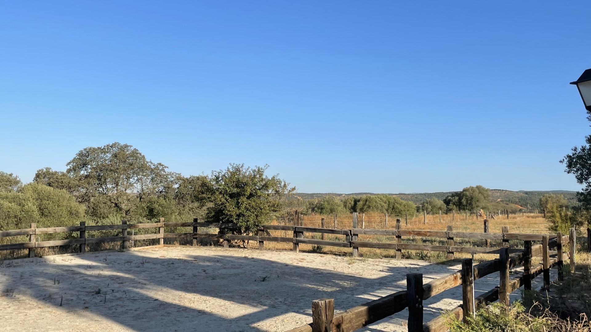 Pisos-Venta-Paterna del Campo-1174337-Foto-13