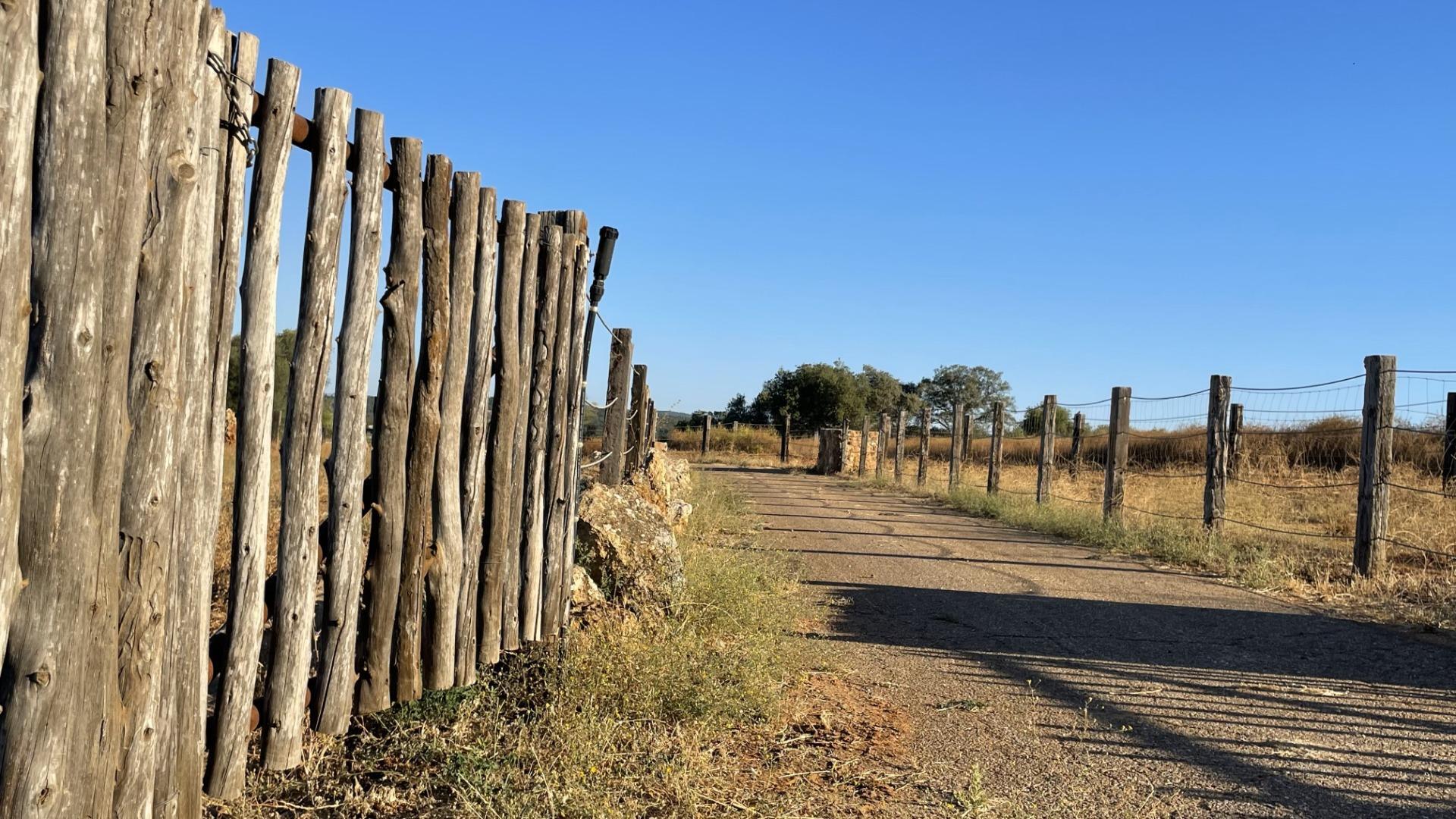 Pisos-Venta-Paterna del Campo-1174337-Foto-14