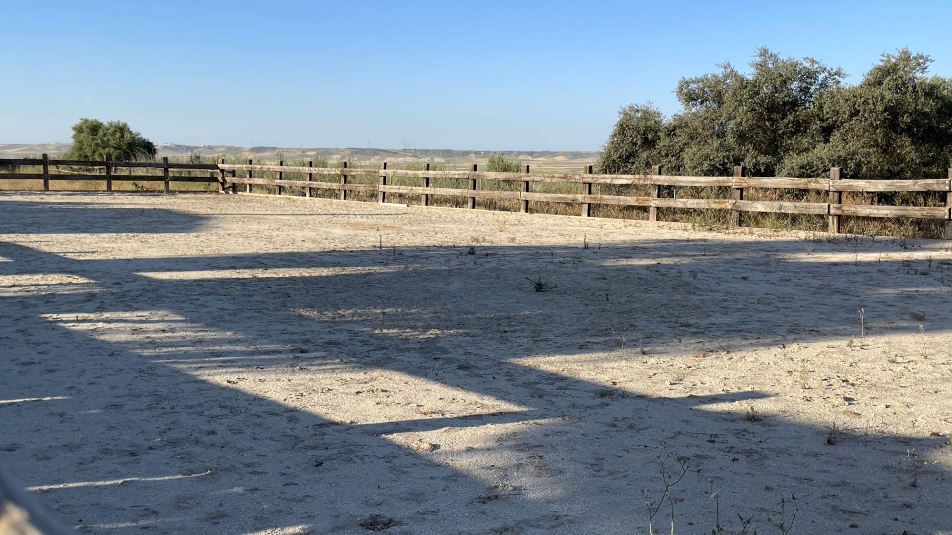 Pisos-Venta-Paterna del Campo-1174337-Foto-15