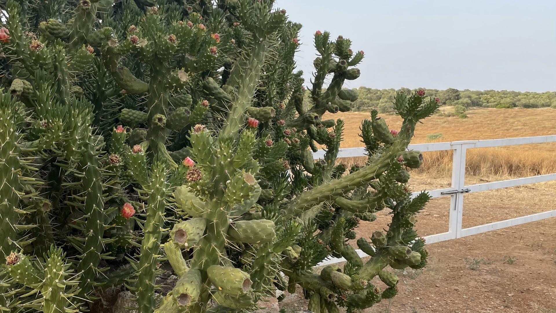 Pisos-Venta-Paterna del Campo-1174337-Foto-12