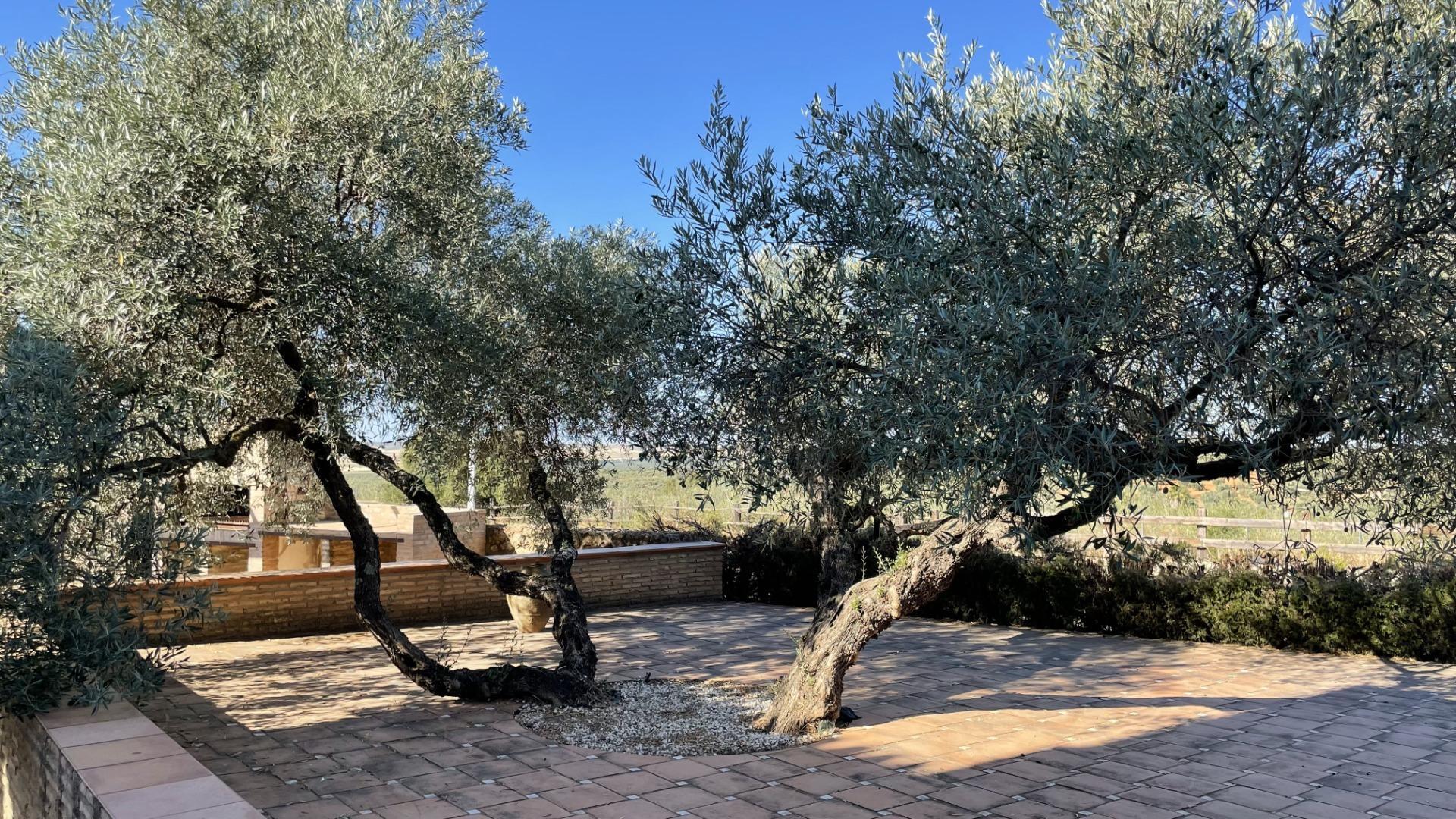 Pisos-Venta-Paterna del Campo-1174337-Foto-18