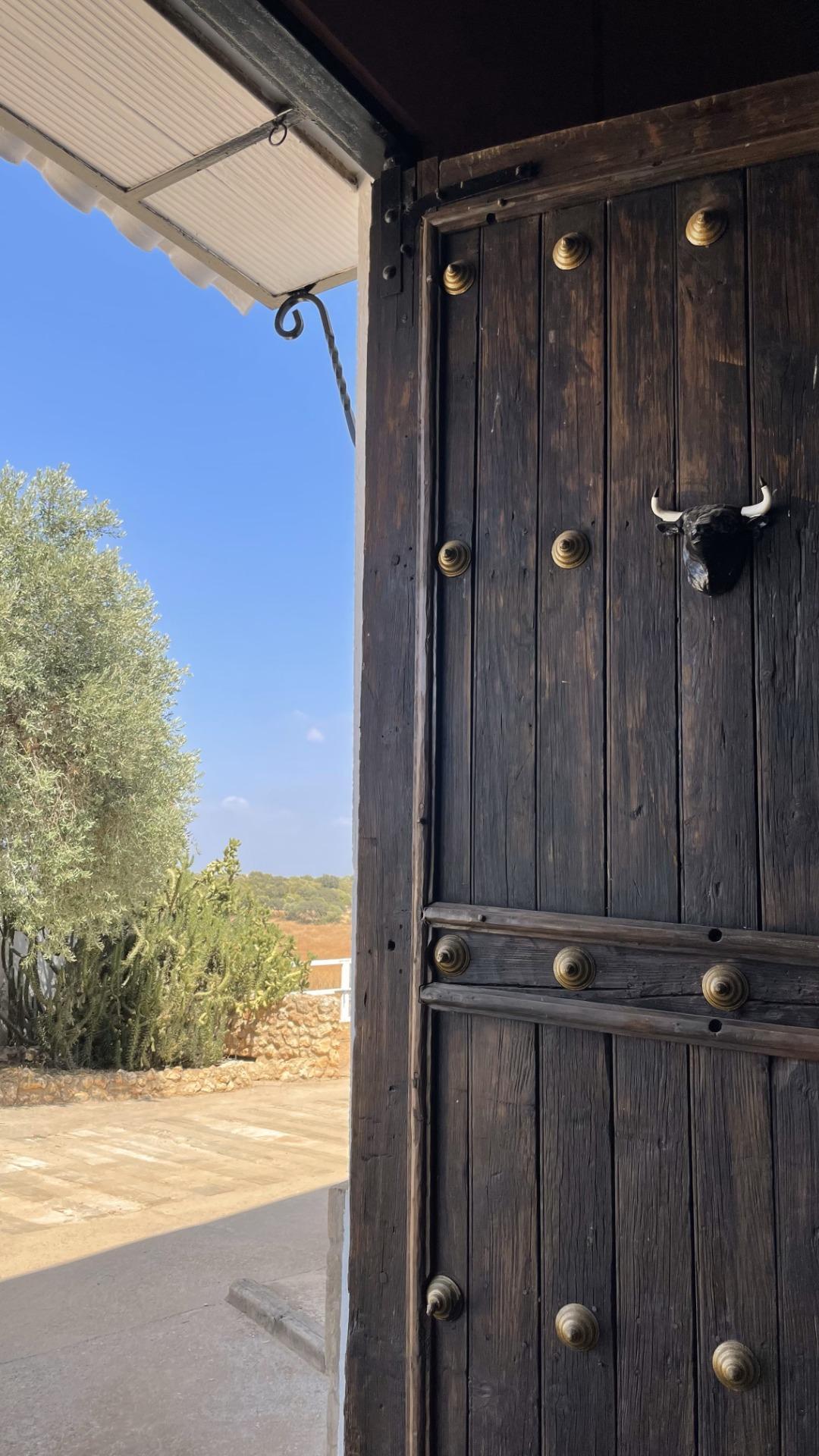 Pisos-Venta-Paterna del Campo-1174337-Foto-23