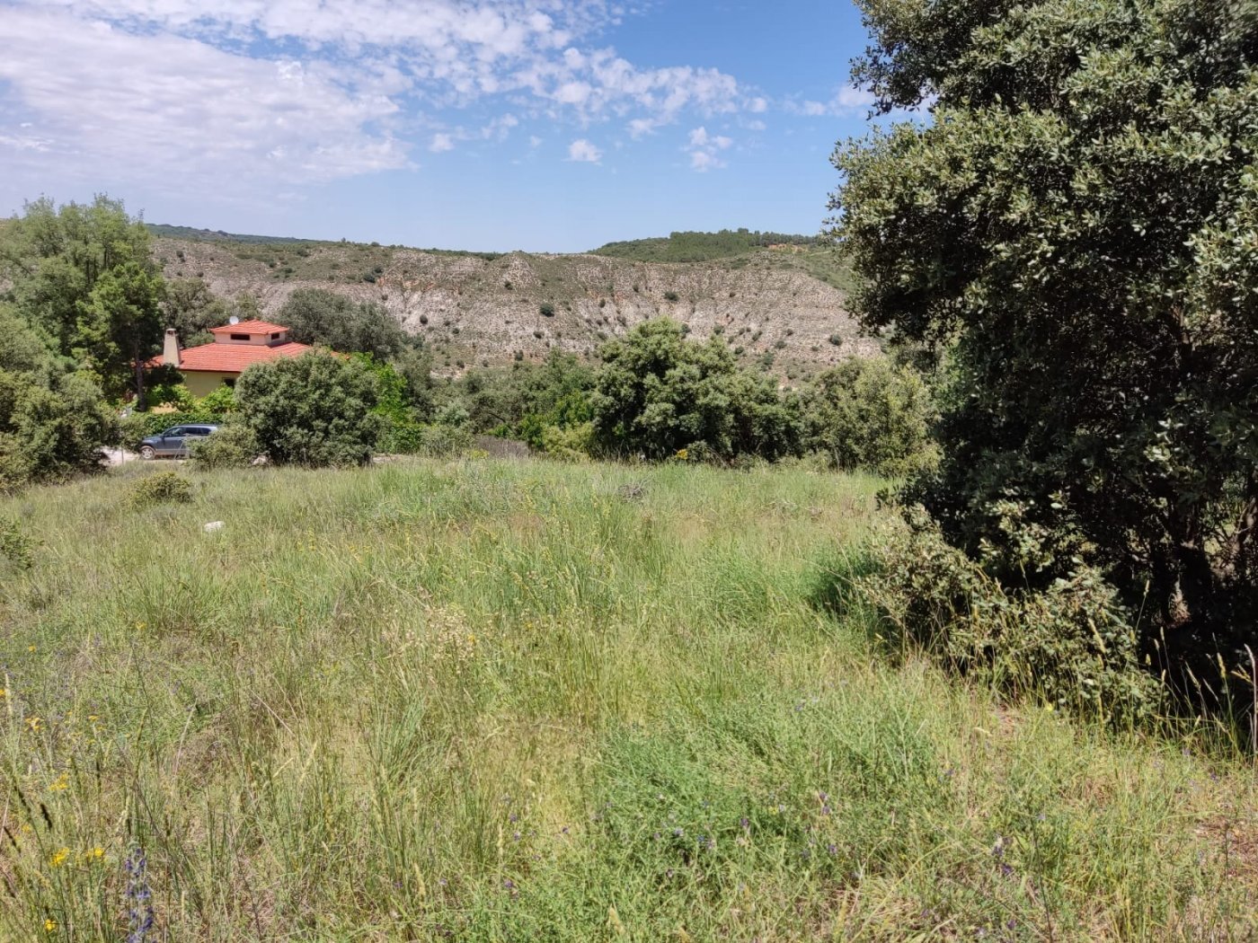 Fincas y solares-Venta-Hontoba-1099643-Foto-3