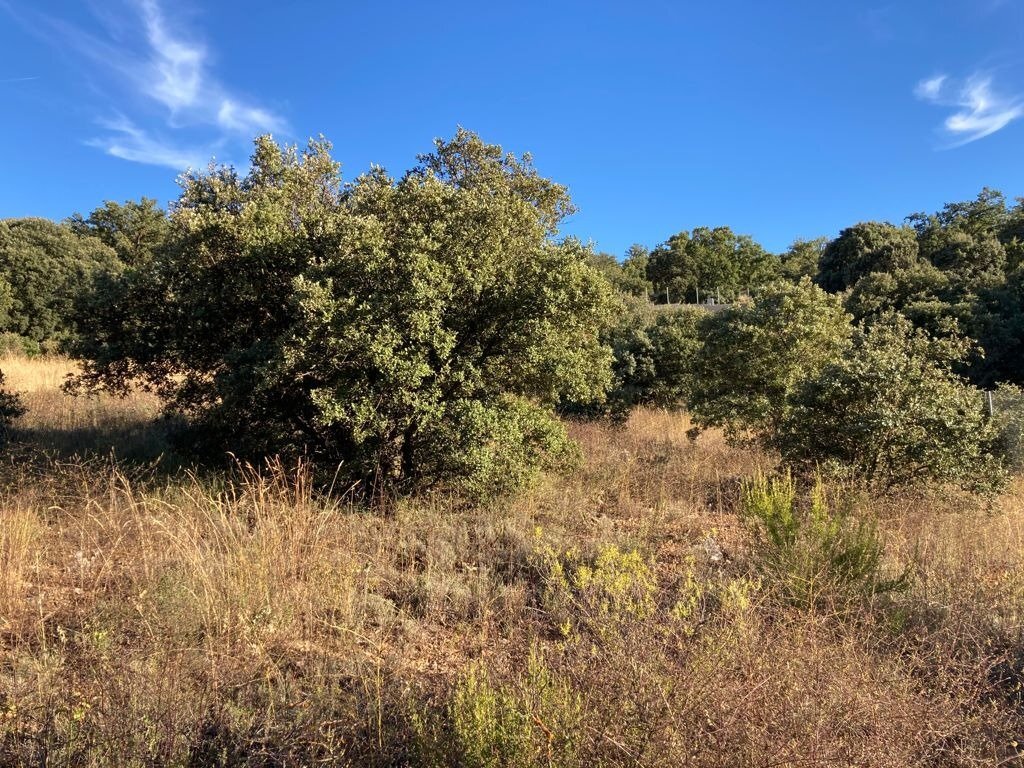 Fincas y solares-Venta-Hontoba-1099643-Foto-5